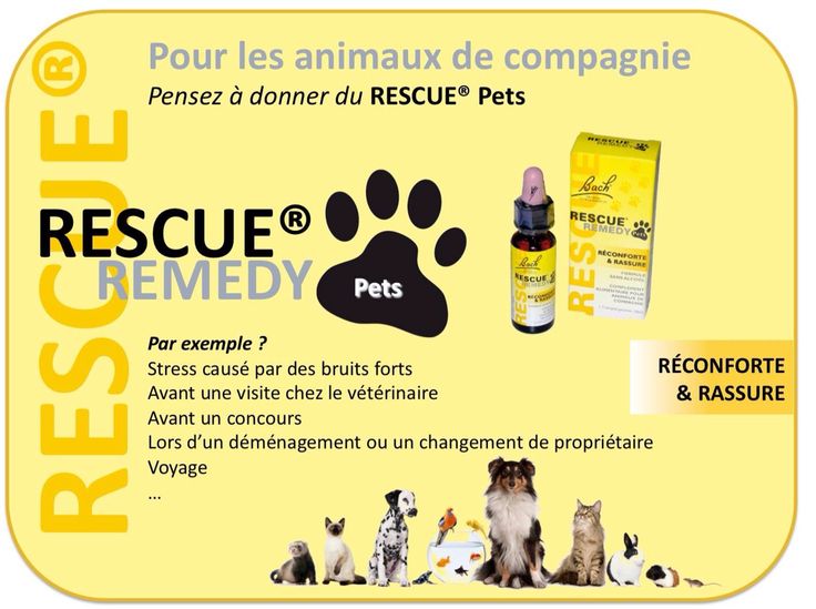 BACHOVY KVĚTOVÉ ESENCE - Pavla Kukalová foto 4