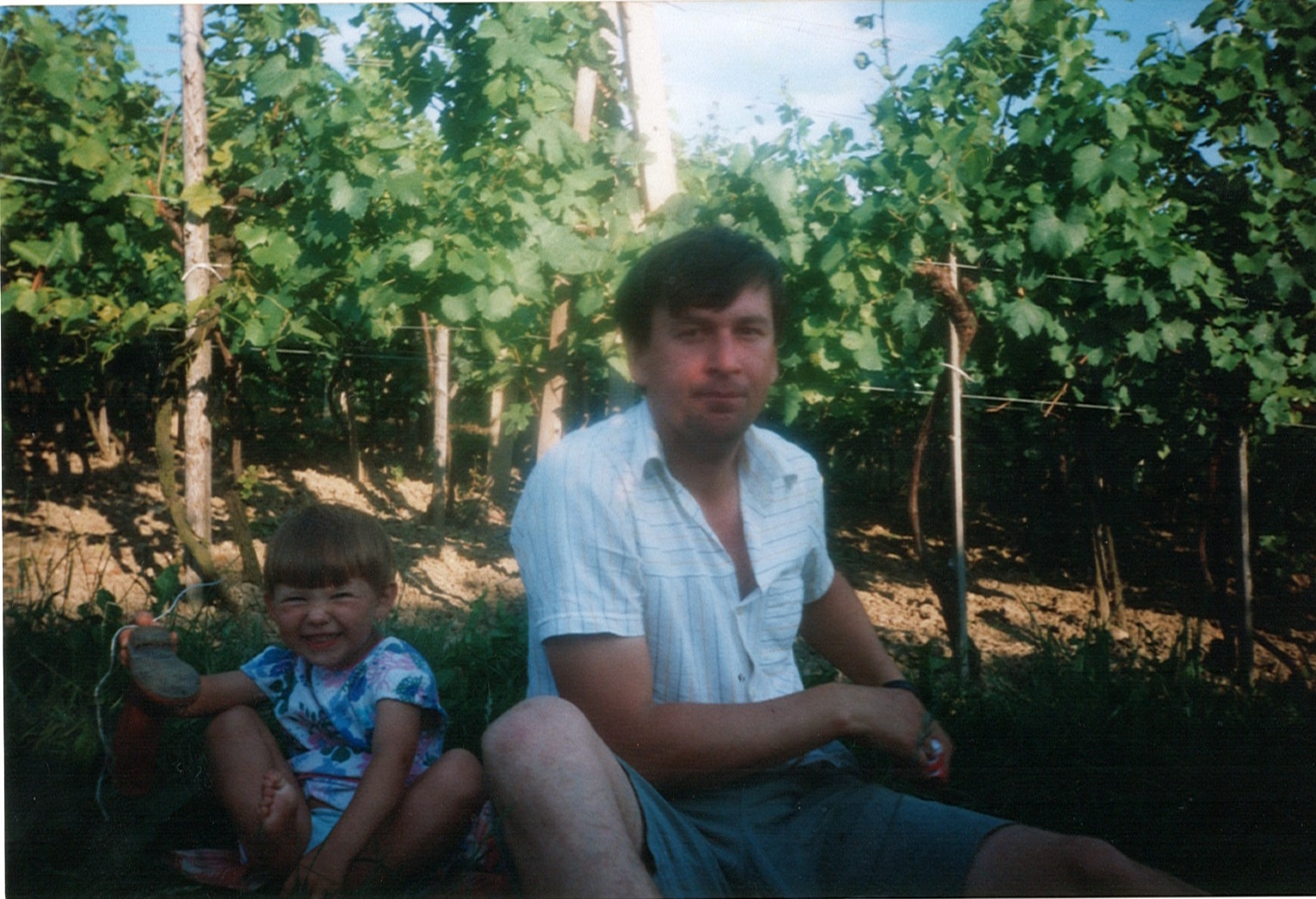 Rodinné vinařství Janásovi foto 5