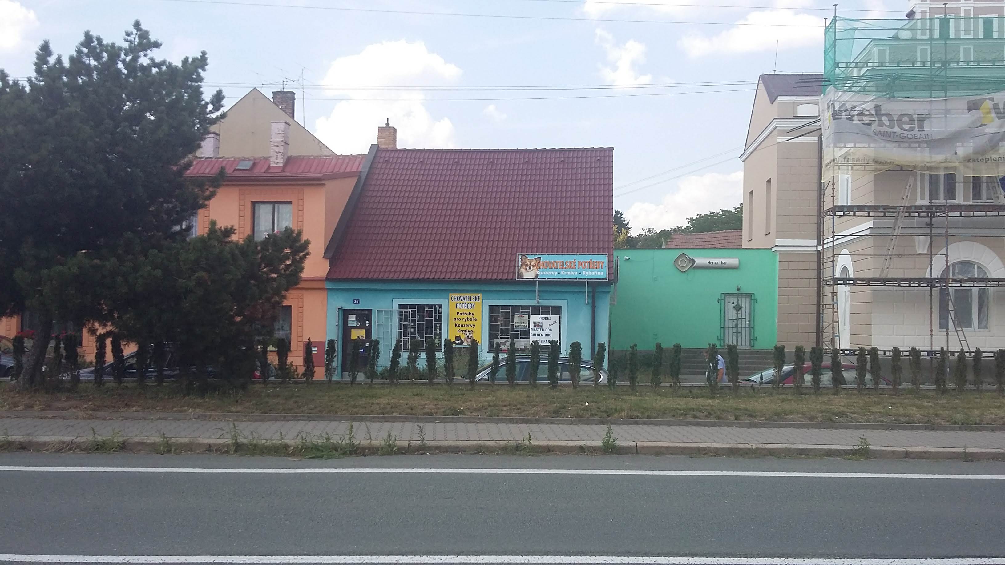 Renata Lankašová foto 2