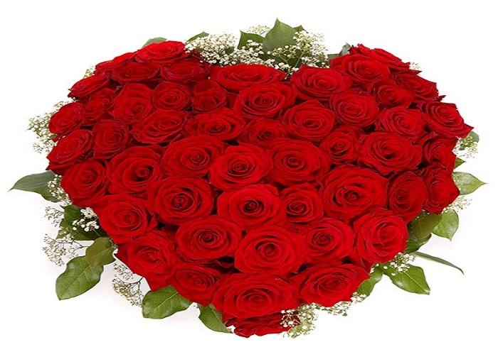 Květinářství-Brno foto 4