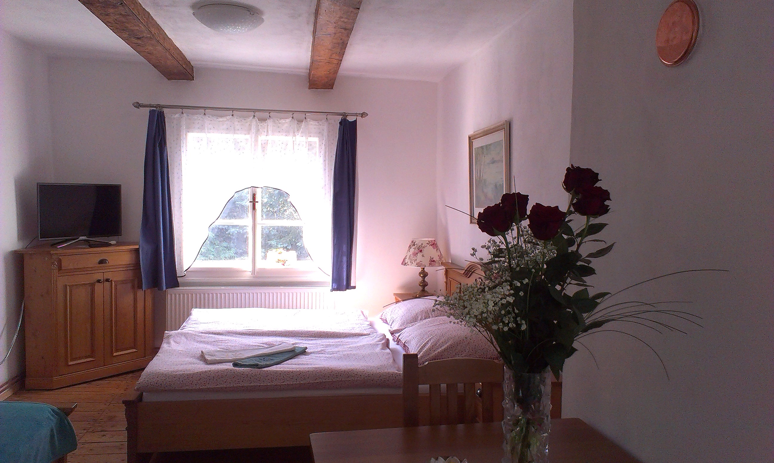 Venkovský dům U Leknínu foto 4