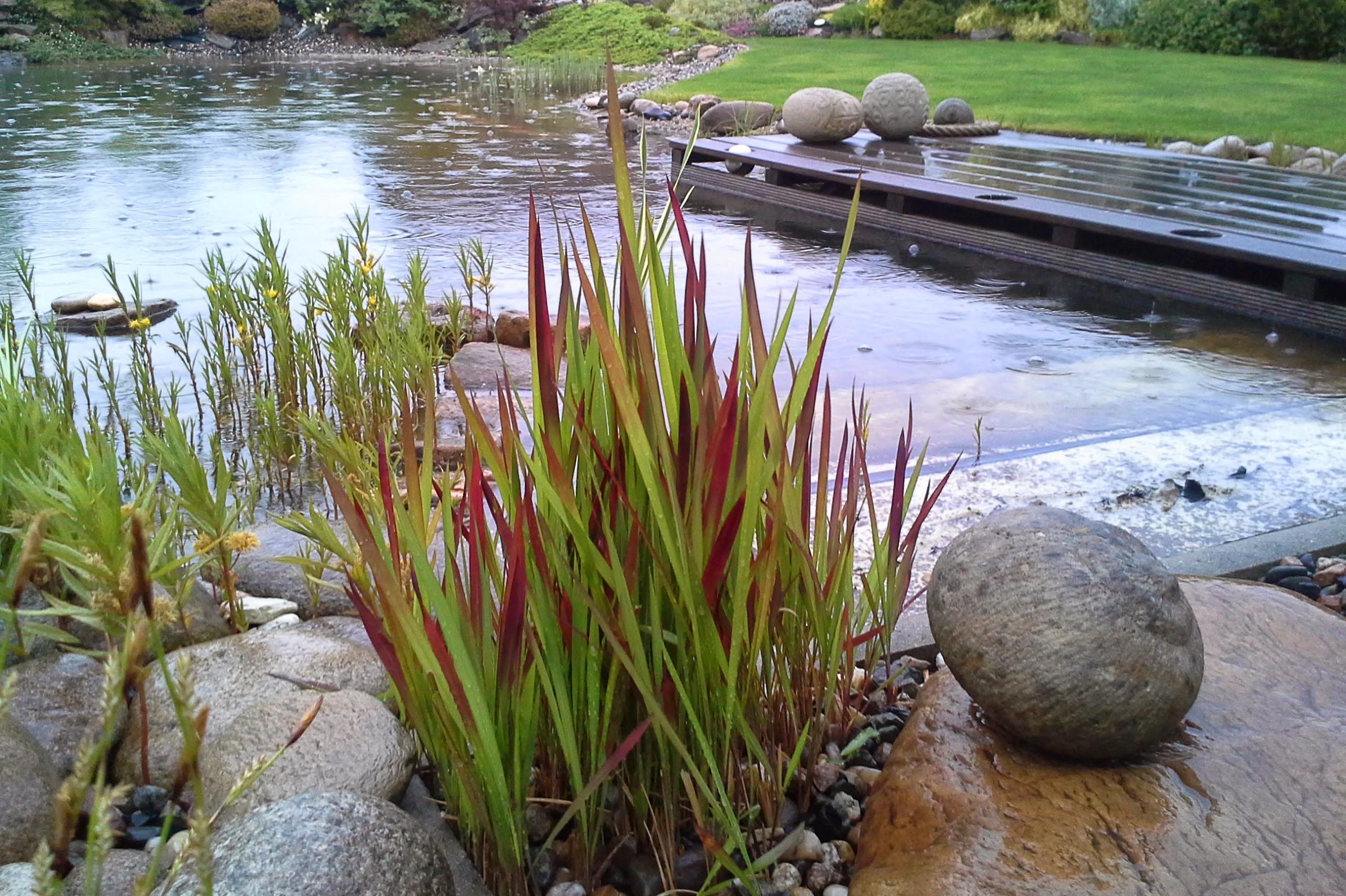 DAHLIA GROUP, s.r.o.