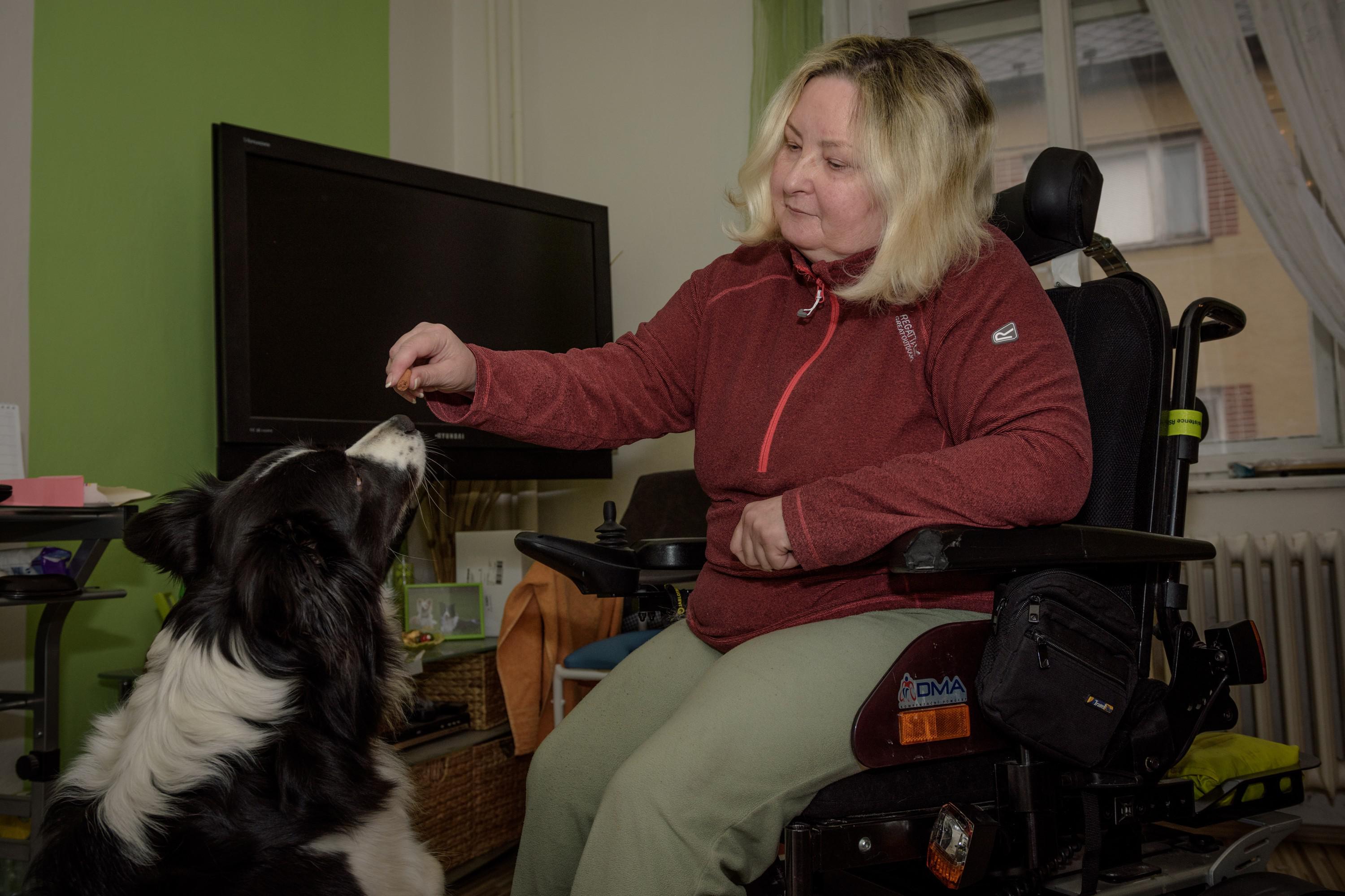 Slezská diakonie - ELIM Ostrava, pečovatelská služba