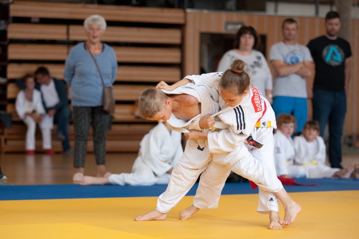 Judo víc než sport, z.s.