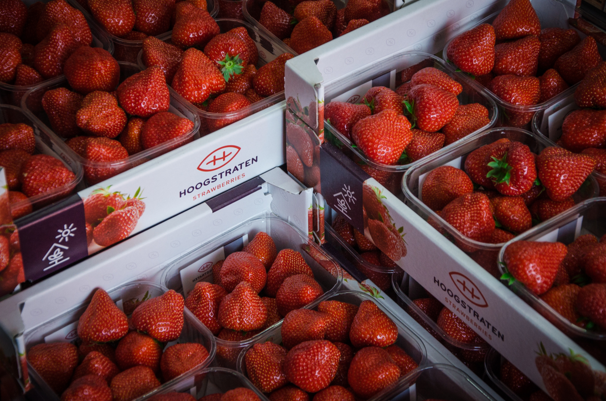 Velkotržnice Lipence
