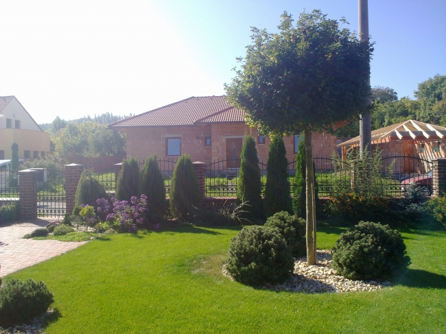 Ovocné a okrasné školky – Blanka Kosařová foto 4