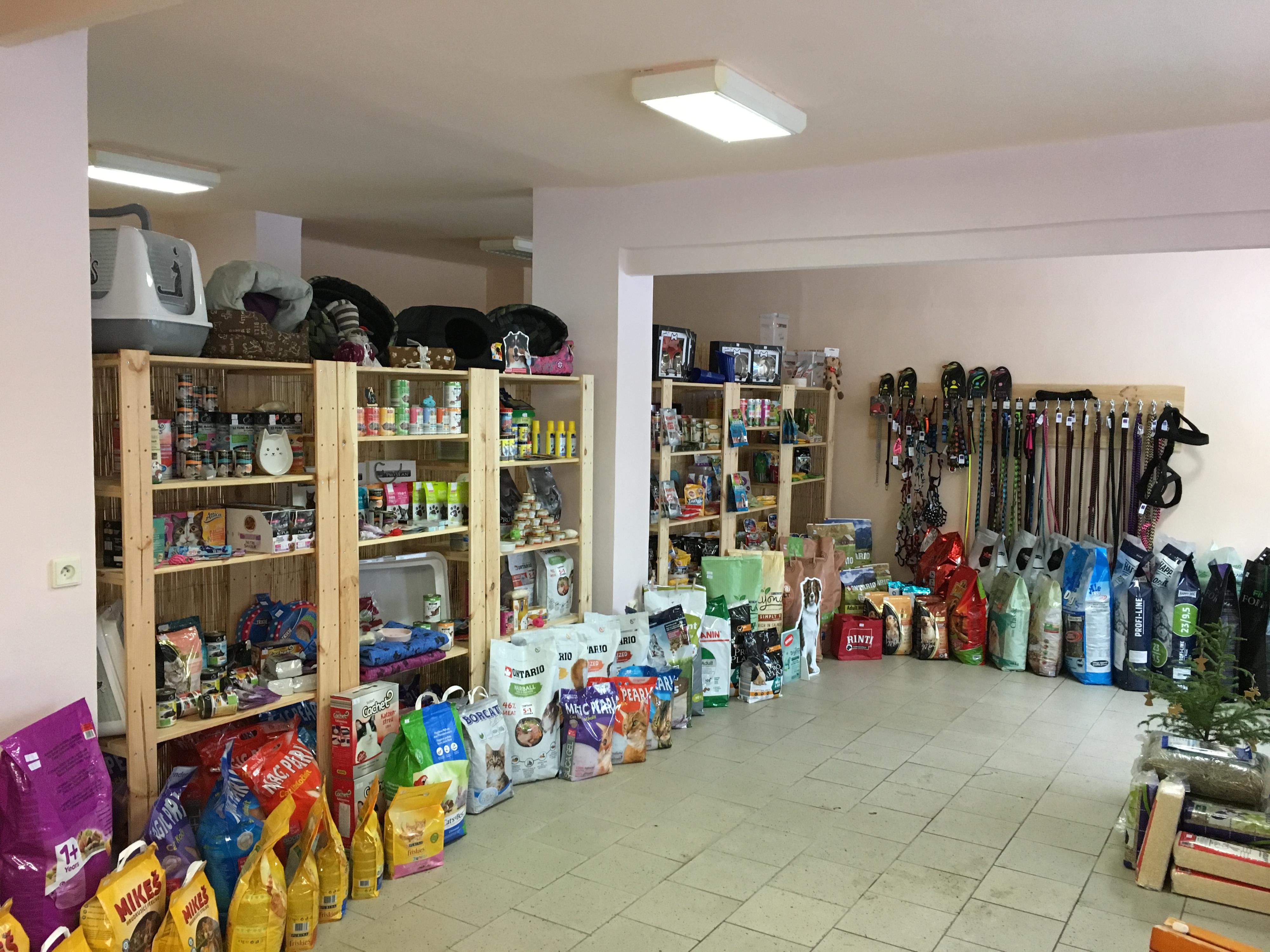 Petra Šlajsová foto 2