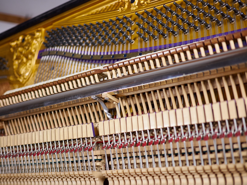 Pianoservis Vít Šobáň