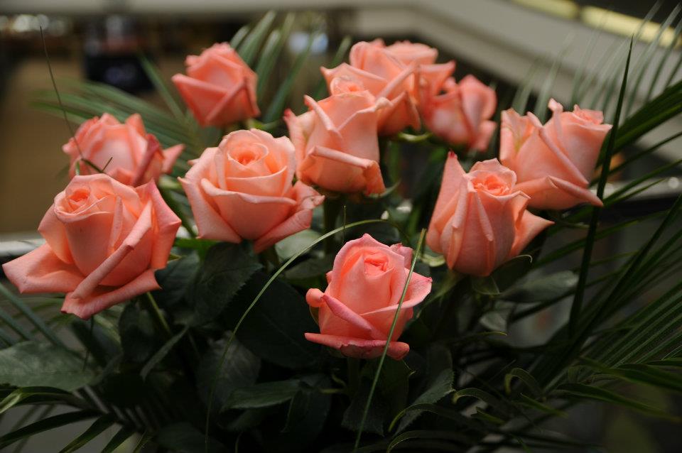 Prodej květin KAT Lamarche s.r.o. foto 4