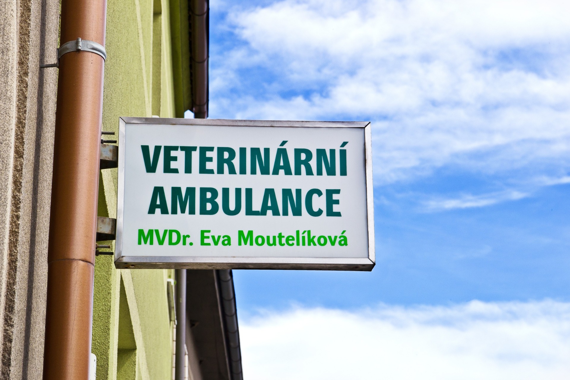 MVDr. Eva Moutelíková foto 2