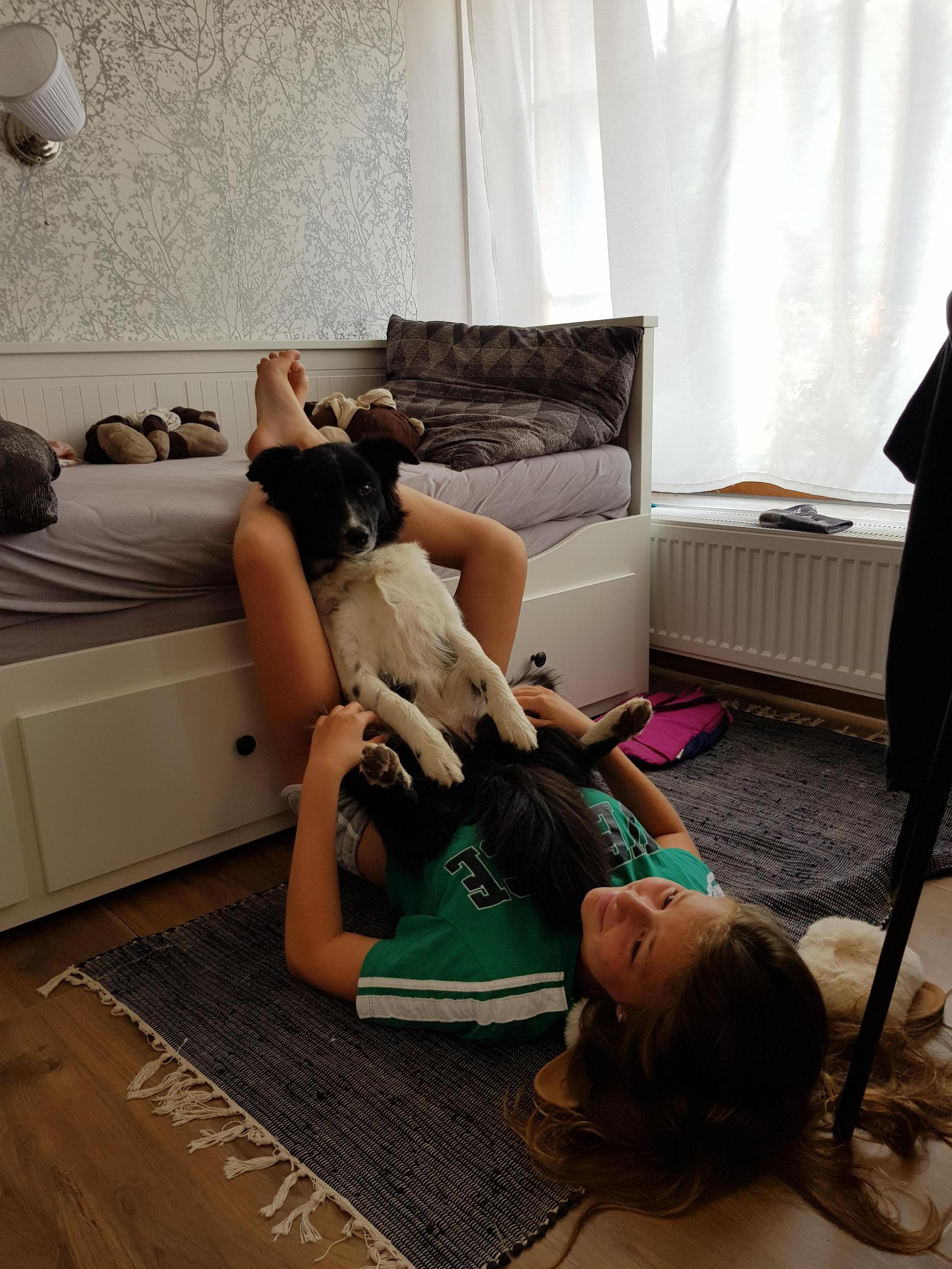 Penzion Tuček foto 6