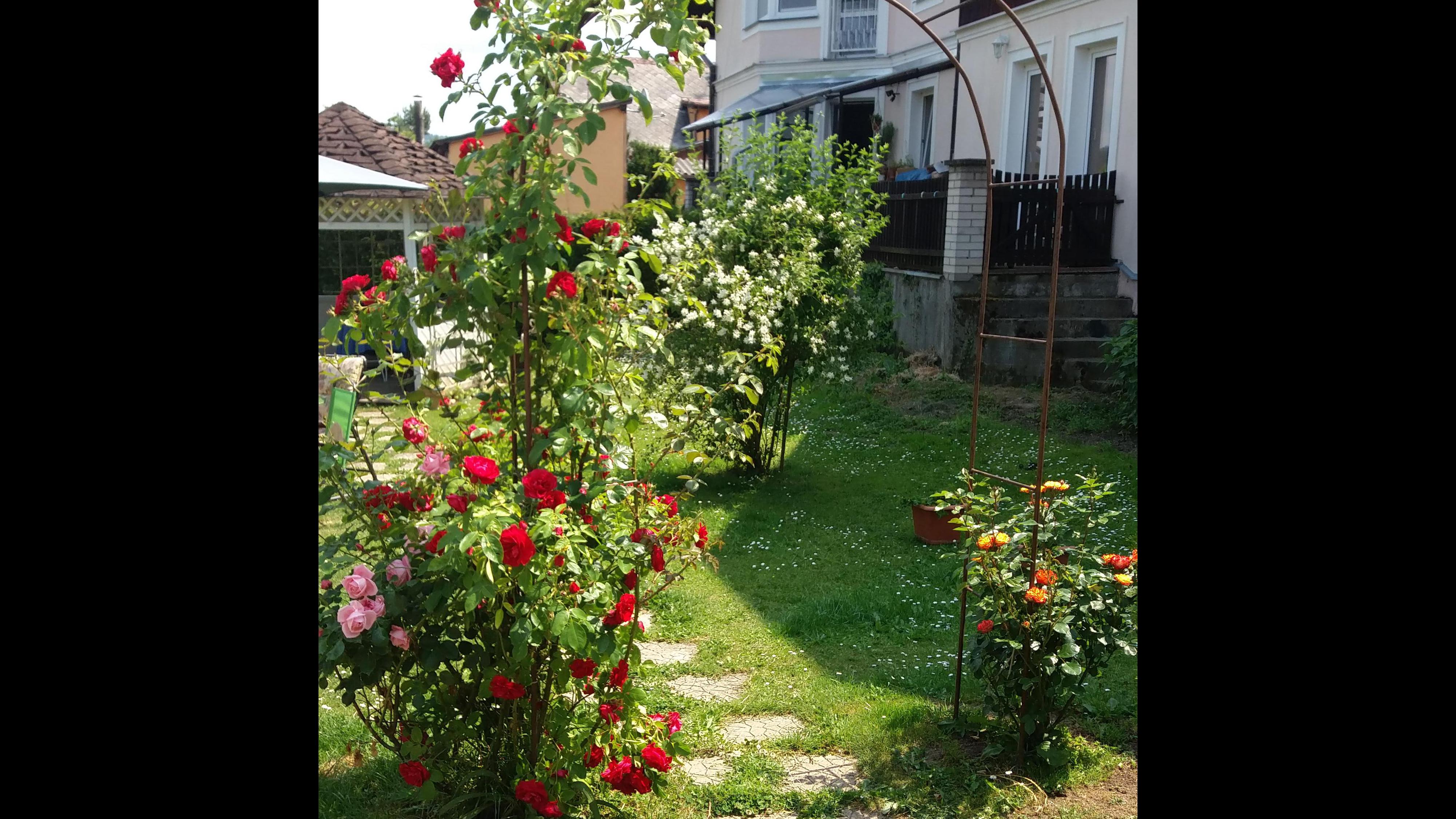 Pension Věra - Mariánské lázně foto 5
