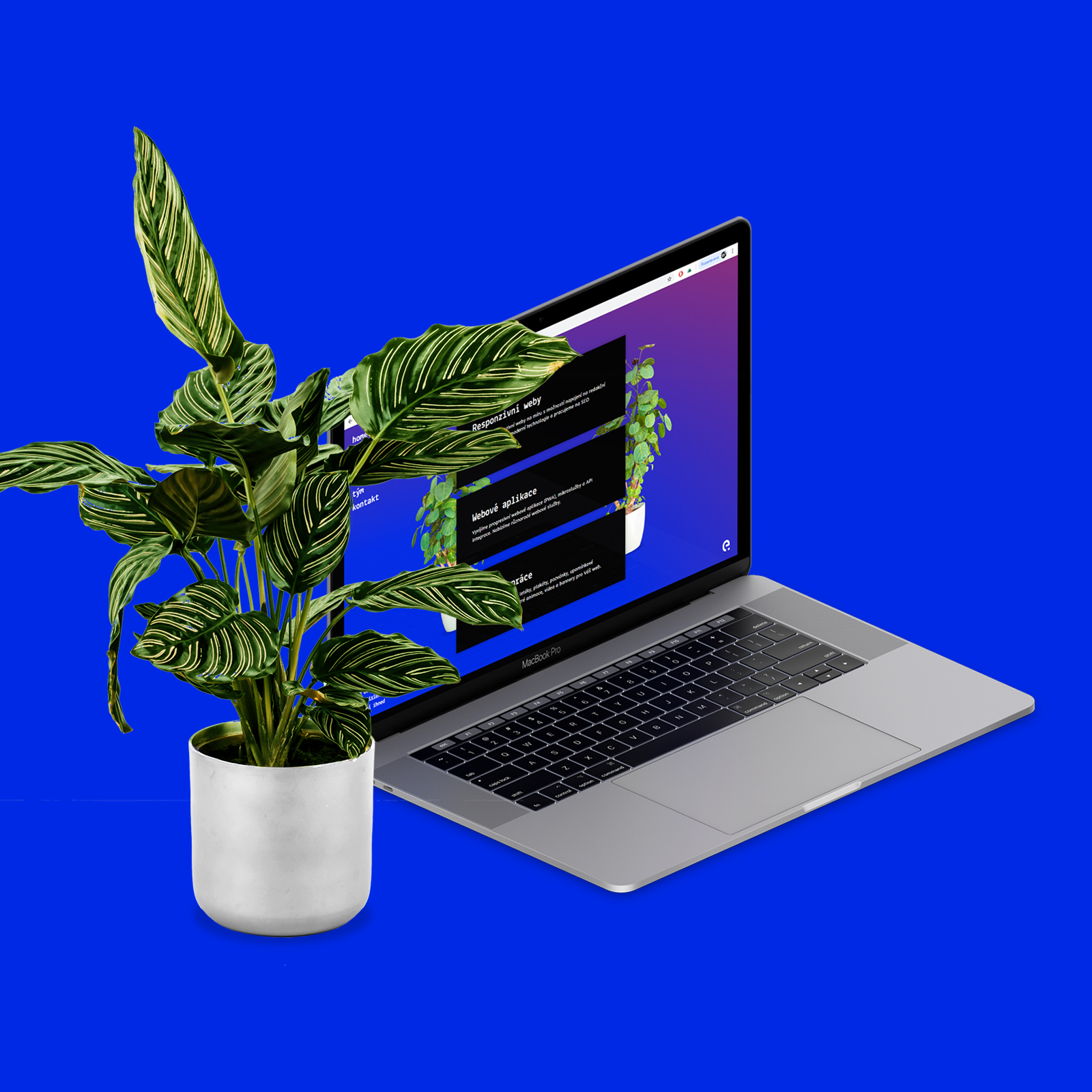 Elision Design foto 2