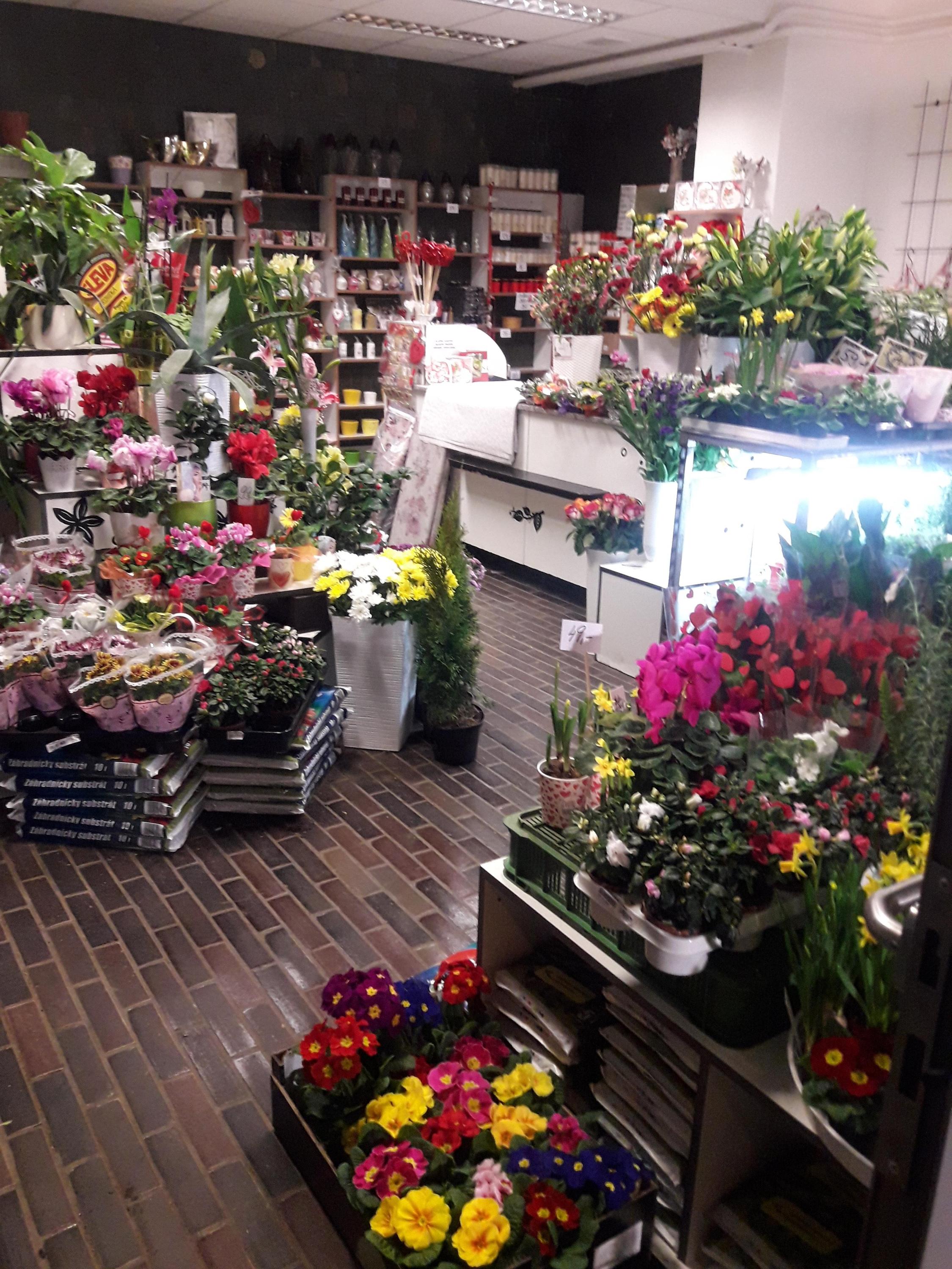 Květiny Sorela - Ing. Prášek foto 3