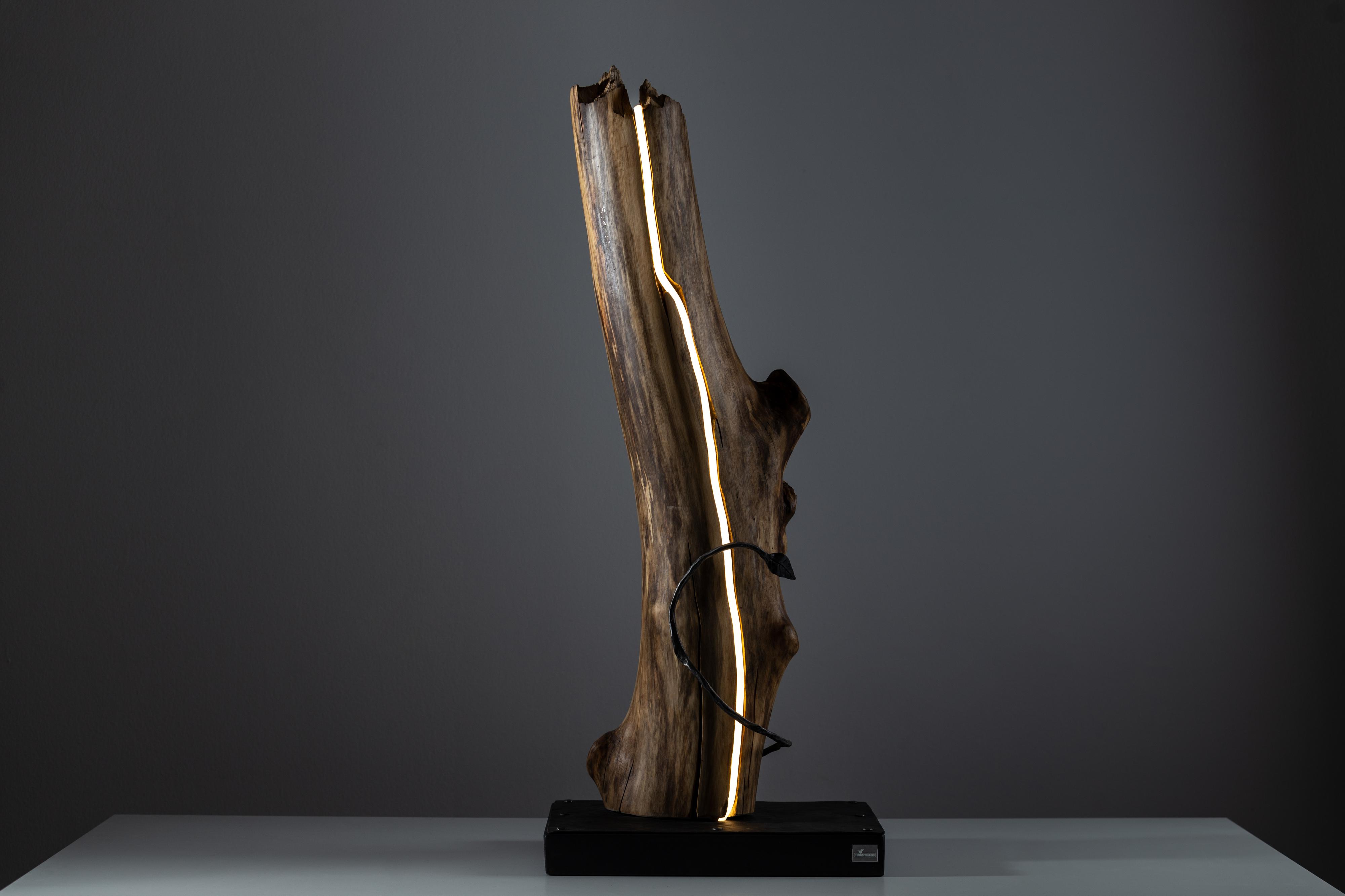 Timbermakers foto 2