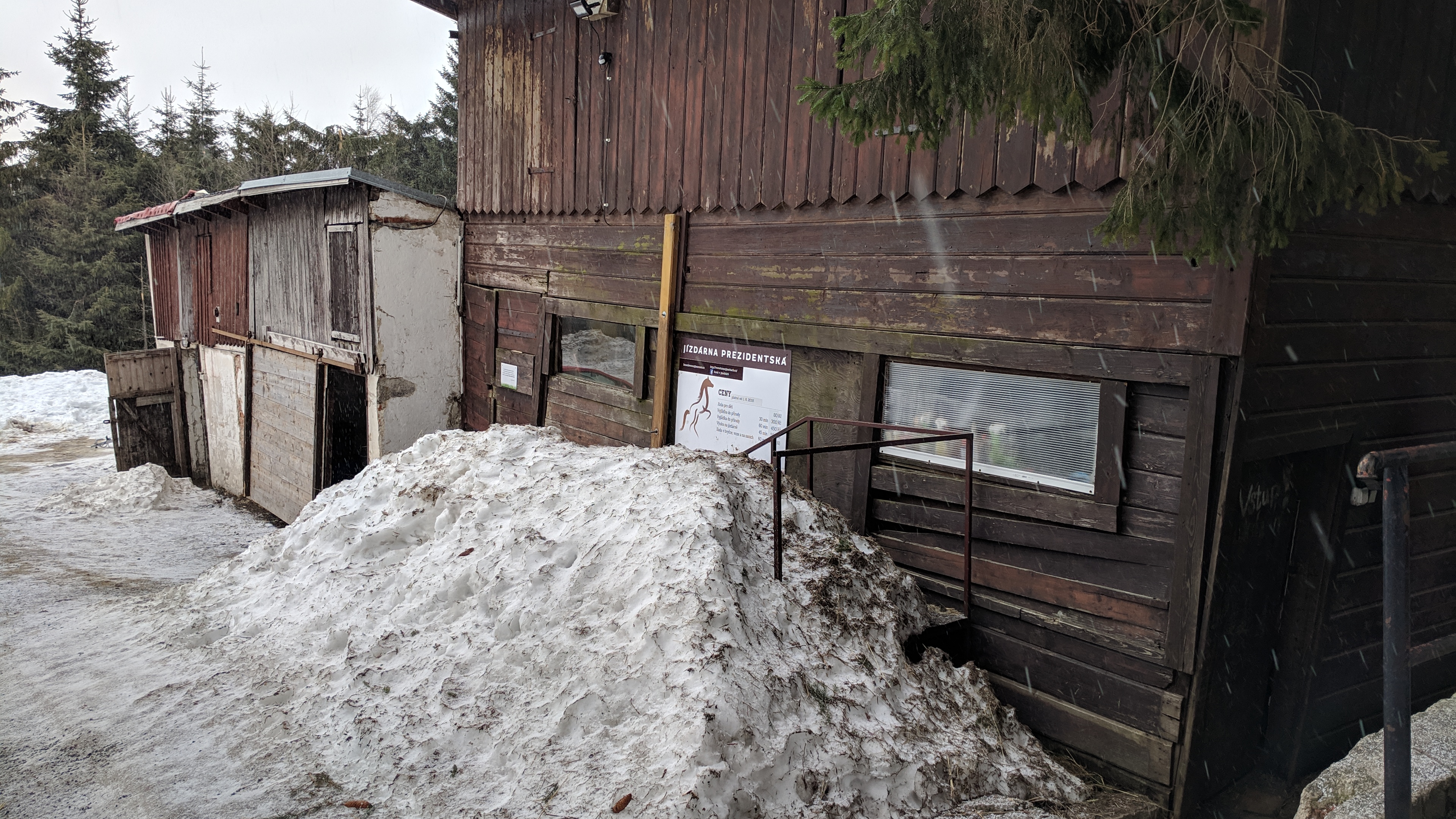 Koně v Jizerkách foto 2