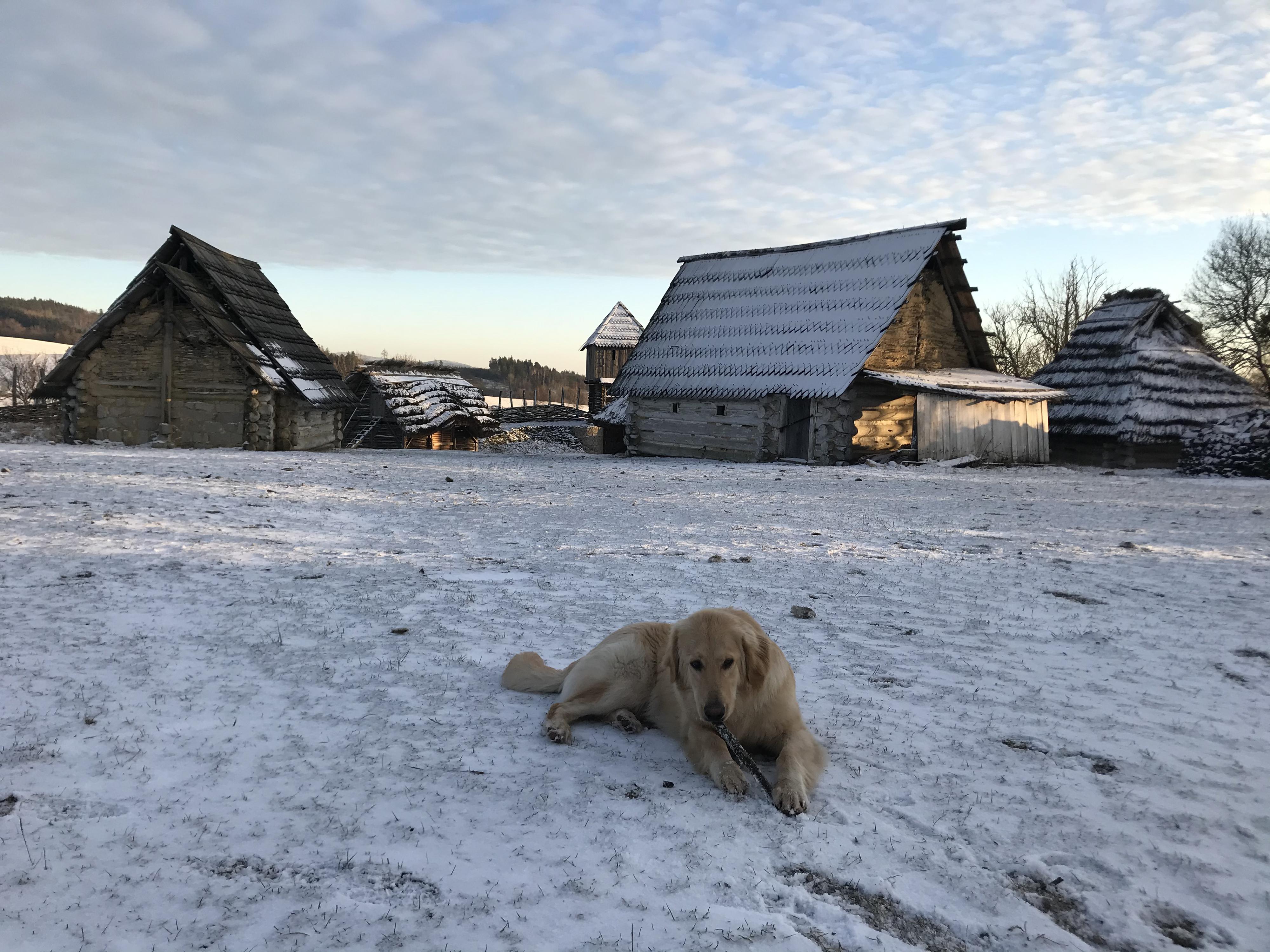 Archeoskanzen Curia Vitkov - Vítkův dvůr foto 2