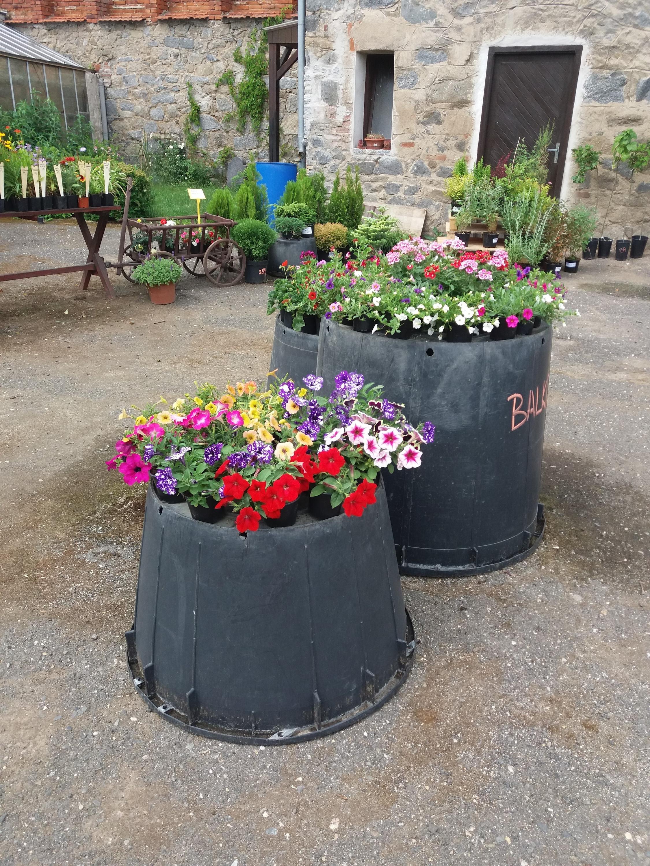 Sedlčanské zahradnictví foto 3