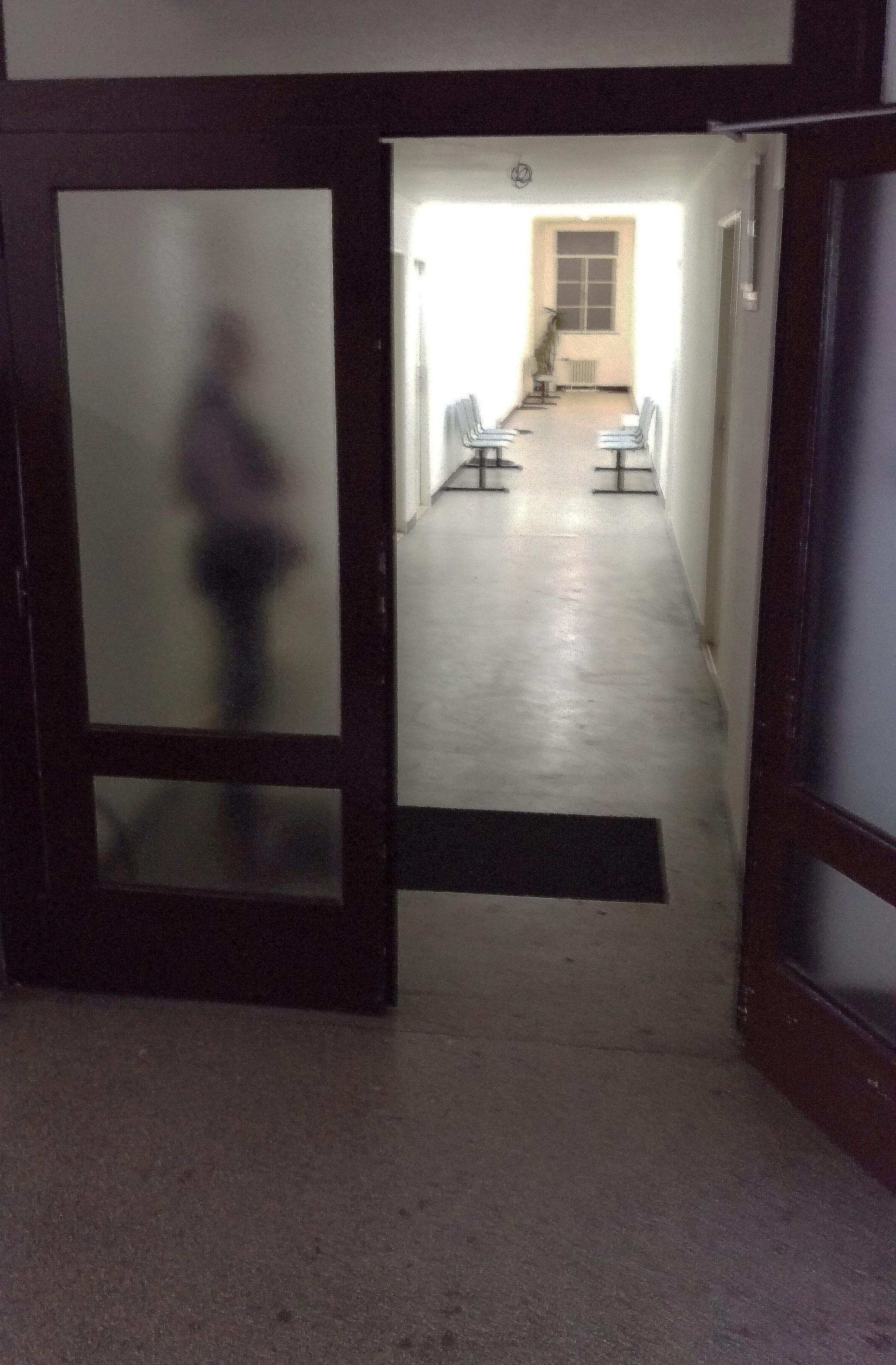 BYLINÁŘSTVÍ - KOŘENÁŘSTVÍ s.r.o., s.r.o. foto 4