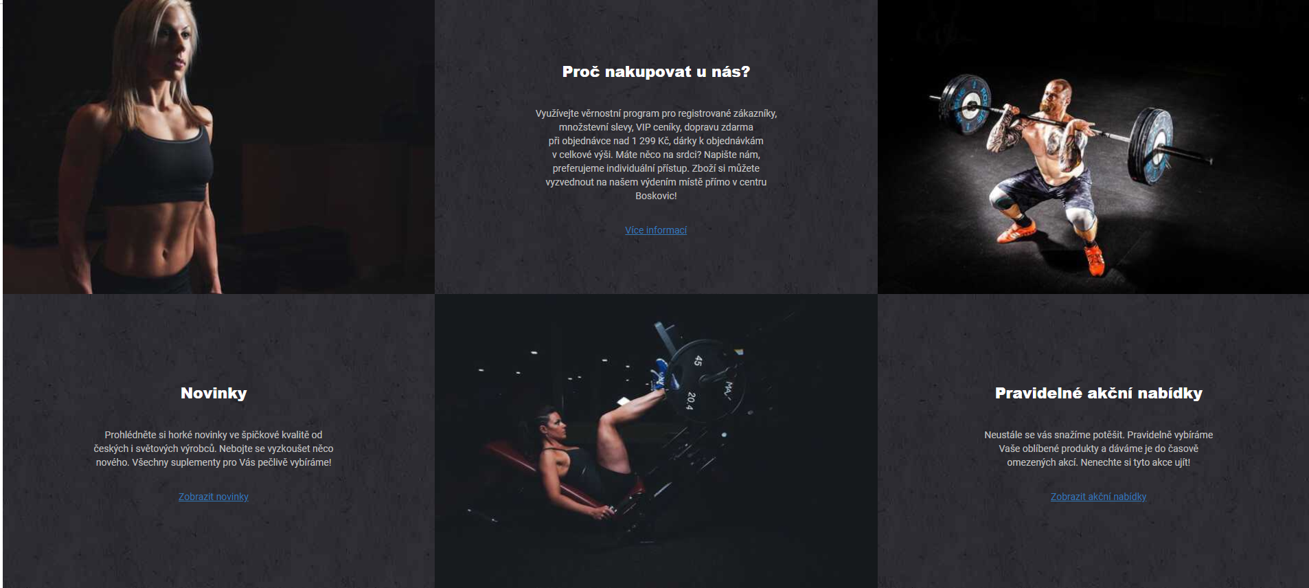 Actifit.cz foto 3