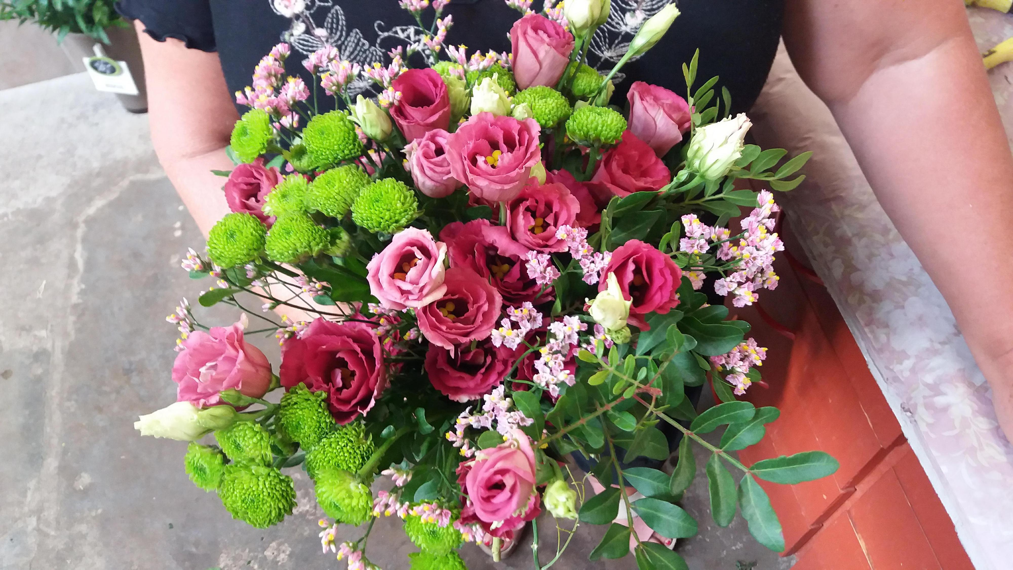 Zahradnictví Šťastný foto 4