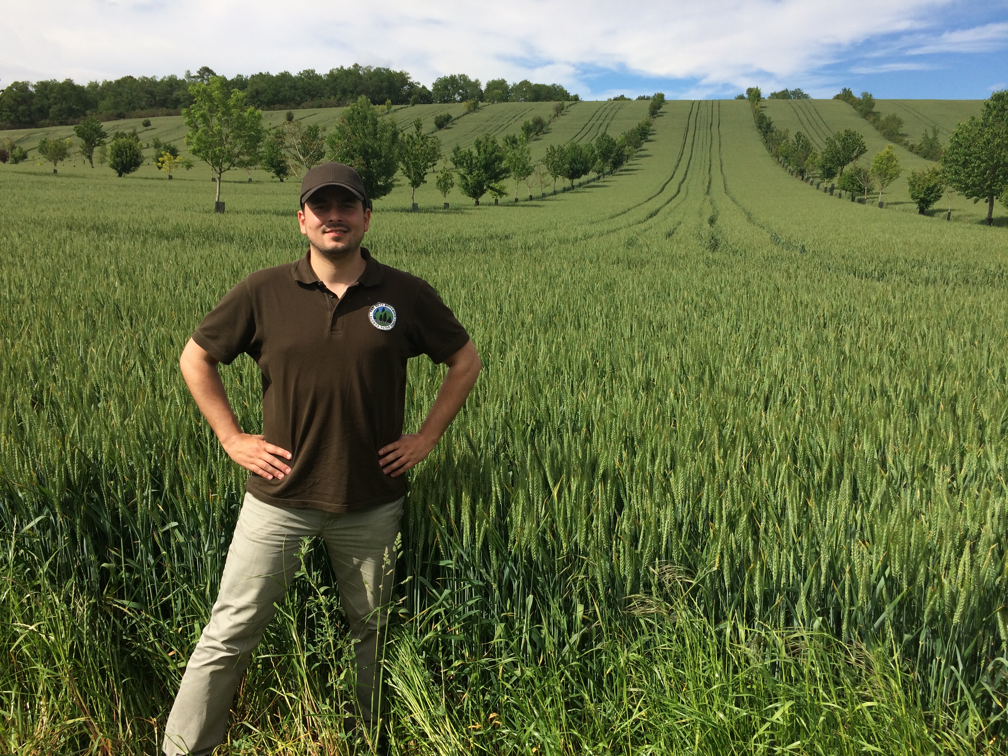 Ing. Aleš Erber - lesnické a agrolesnické poradenství foto 3