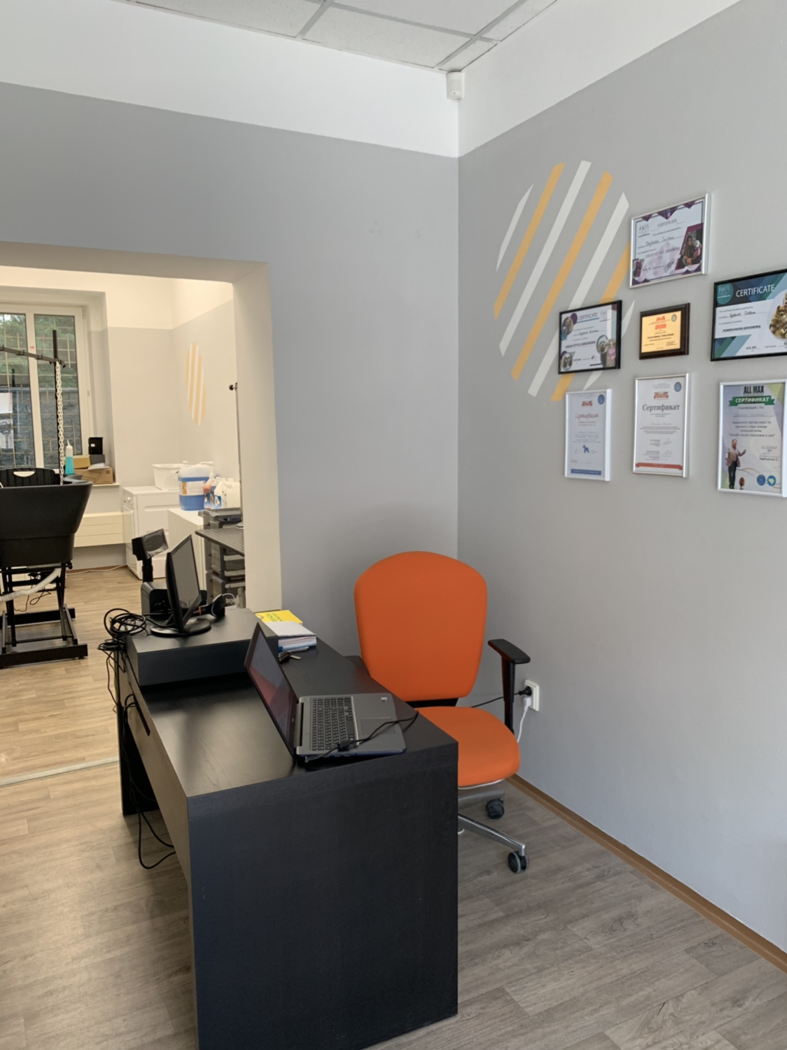 Módní Pes salon foto 4