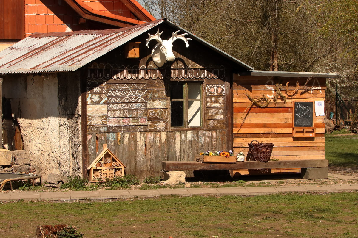 Lesní školka - V Hájence foto 4