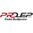 logo PROLEP