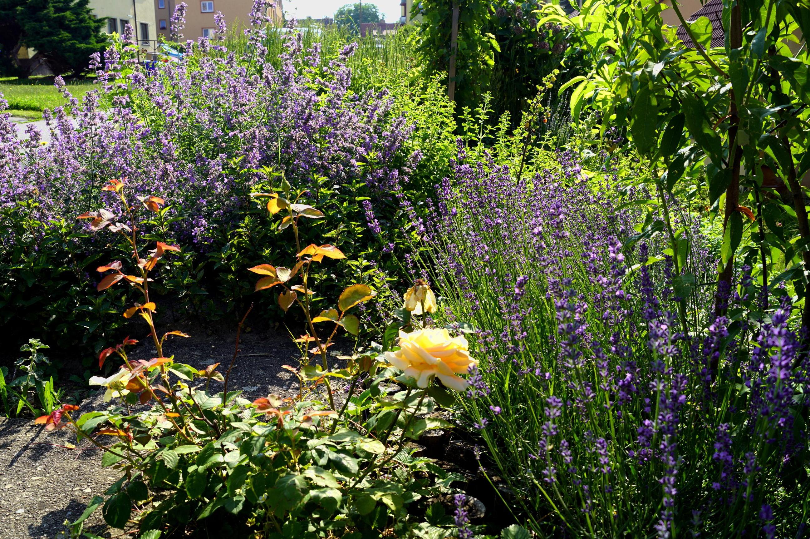 Ateliér12měsíců - návrhy zahrad, výtvarné umění