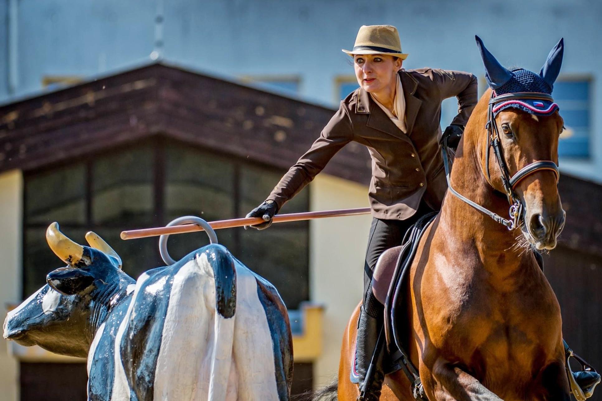 Karlovarský sportovní klub