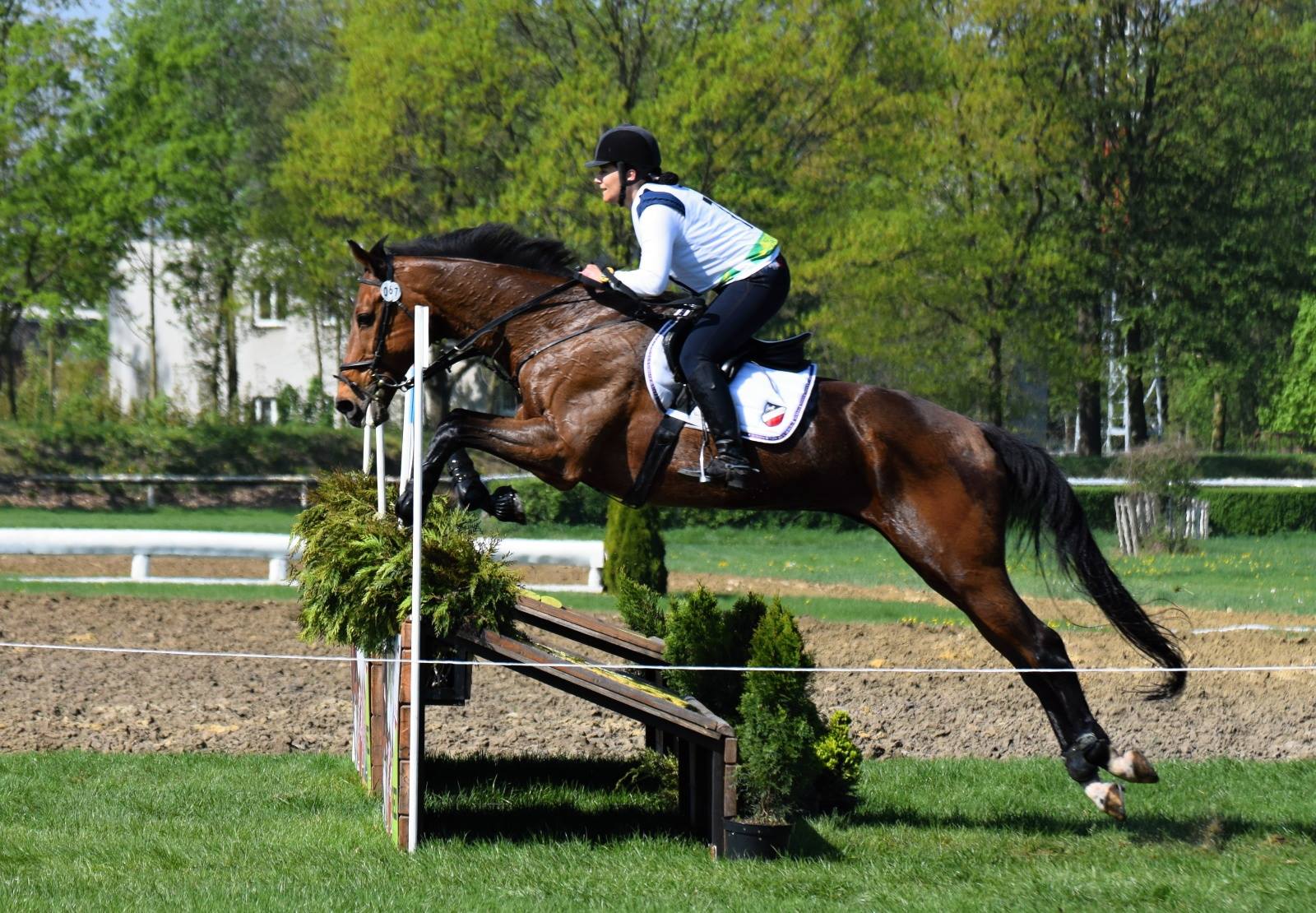 Pavlický dvůr foto 4