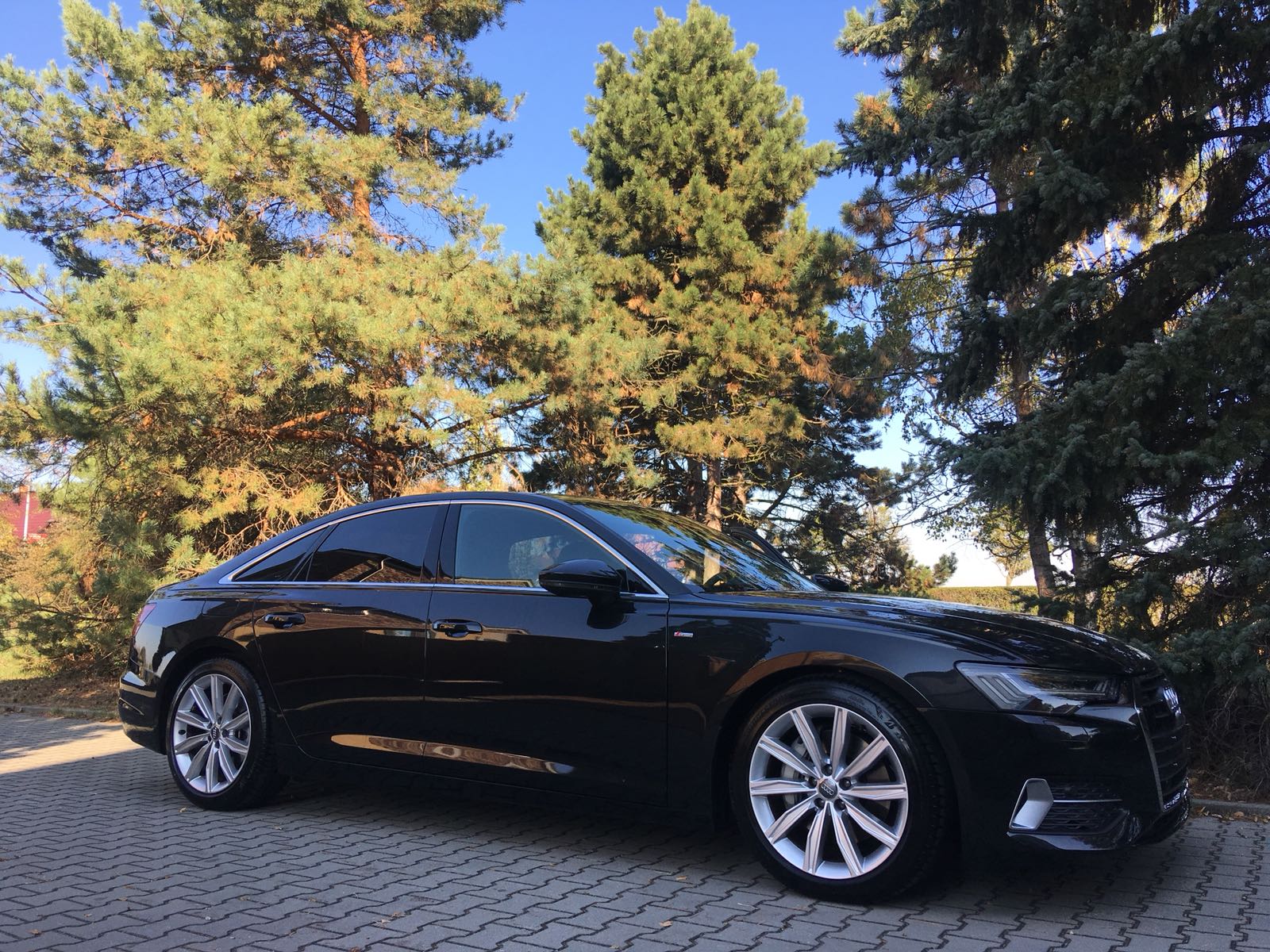 Igelityfol.cz foto 5