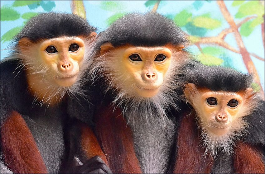 ZOO Chleby, o.p.s. foto 2
