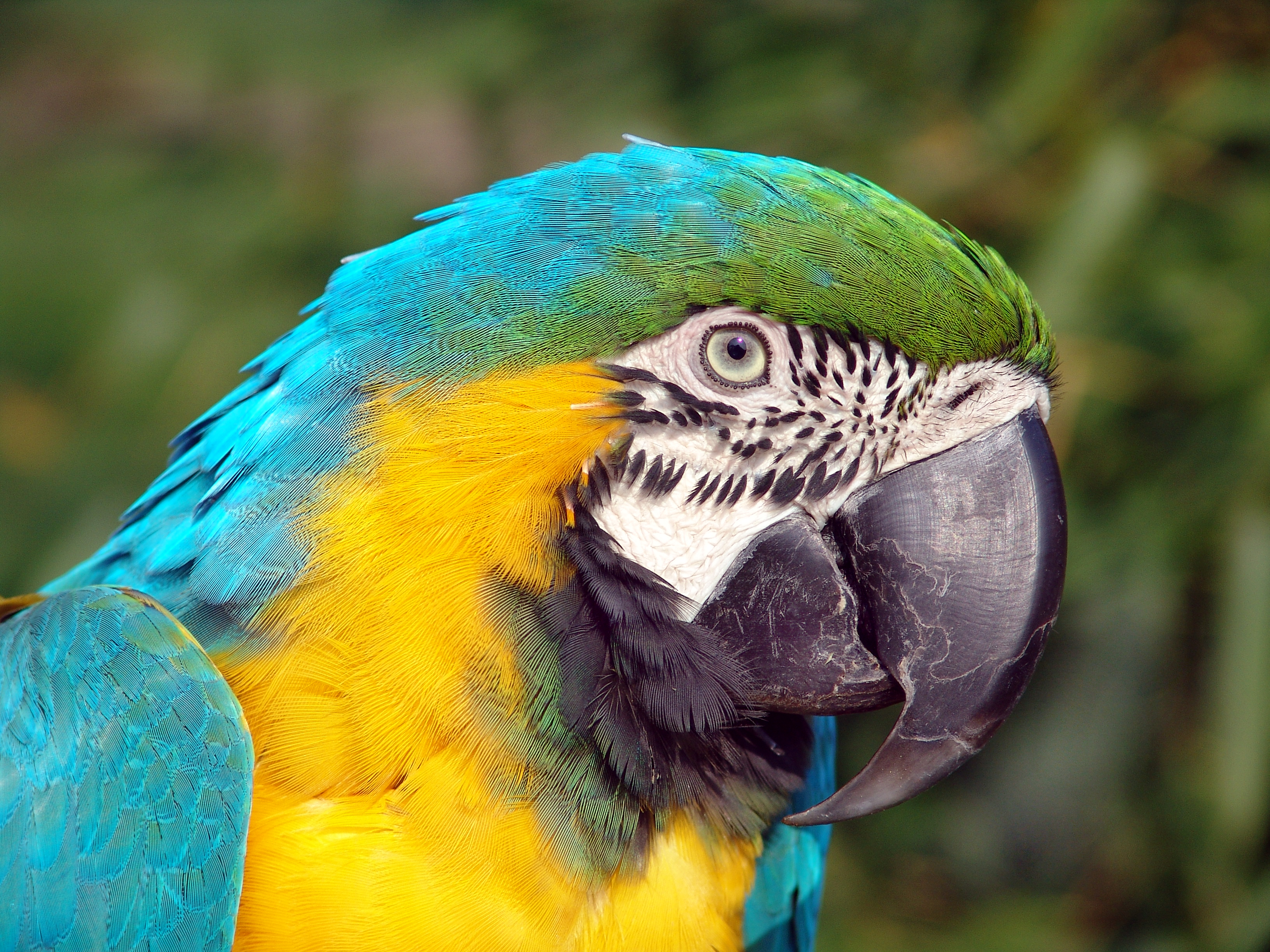 ZOO Chleby, o.p.s. foto 6