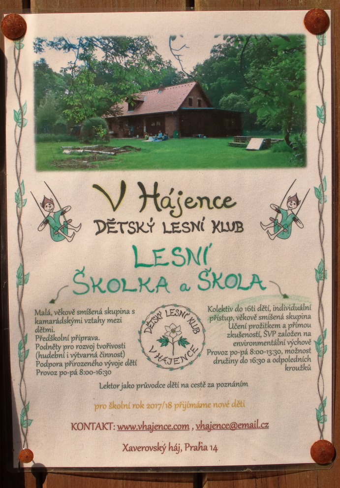 Lesní školka - V Hájence foto 5