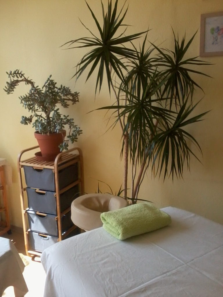 GULAB JAMUN masážní studio Ostrava foto 3