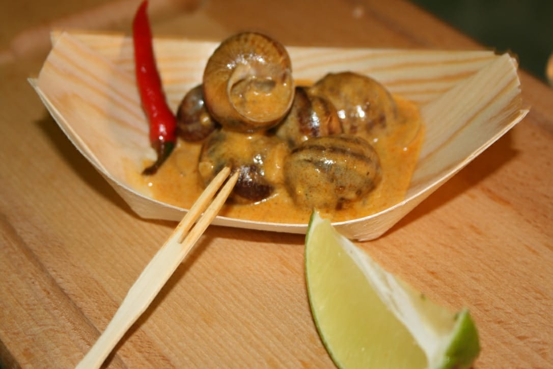 Šnečí farma foto 2