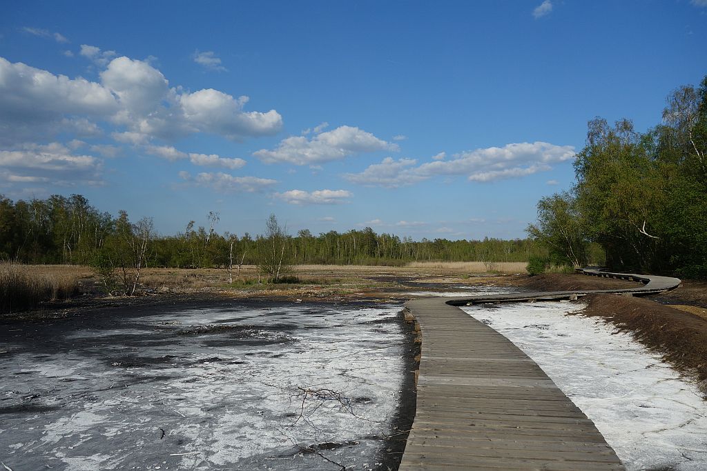 Národní přírodní rezervace Soos foto 3