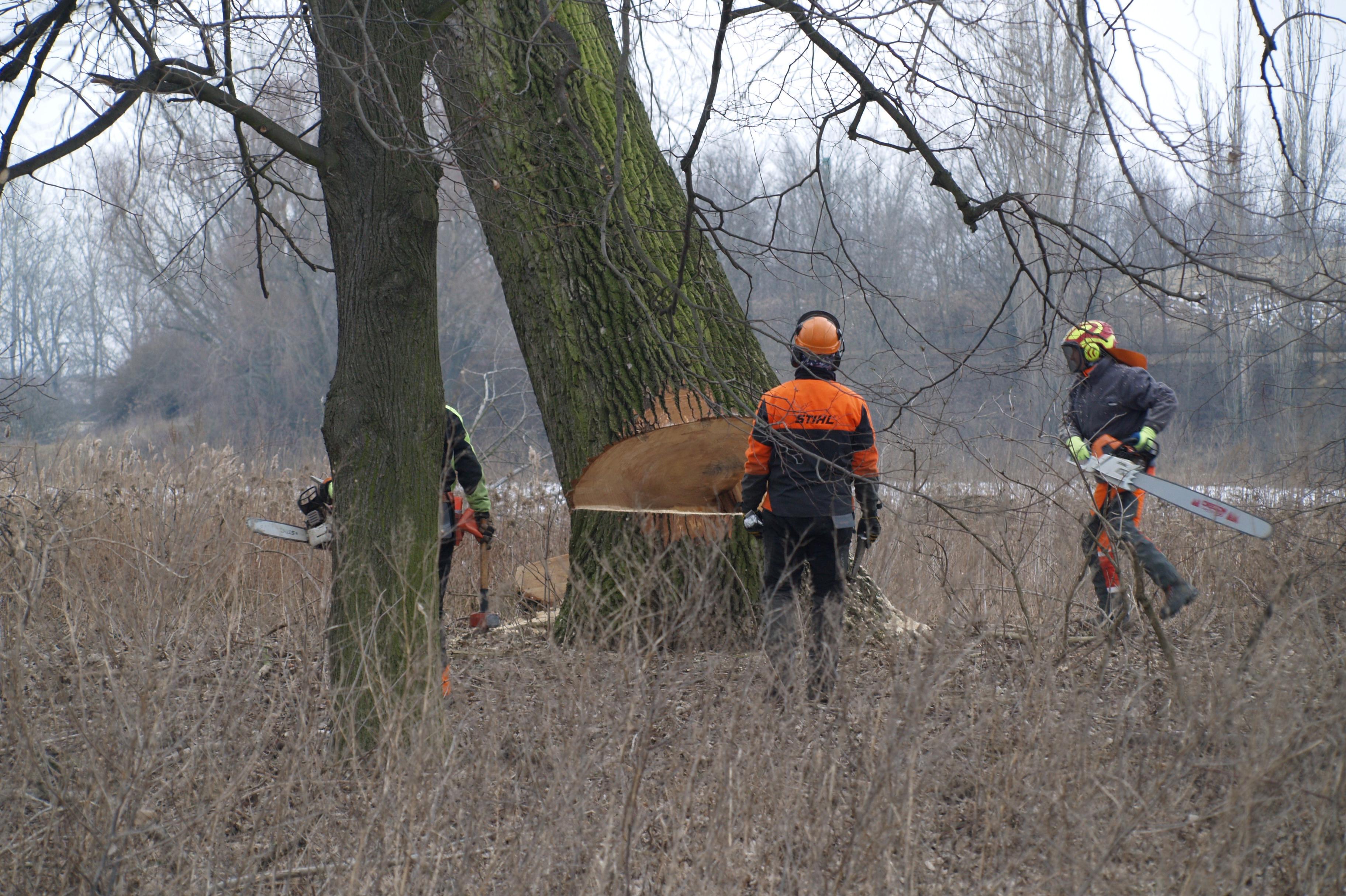 EXTRÉMNÍ ZAHRADY, s.r.o.