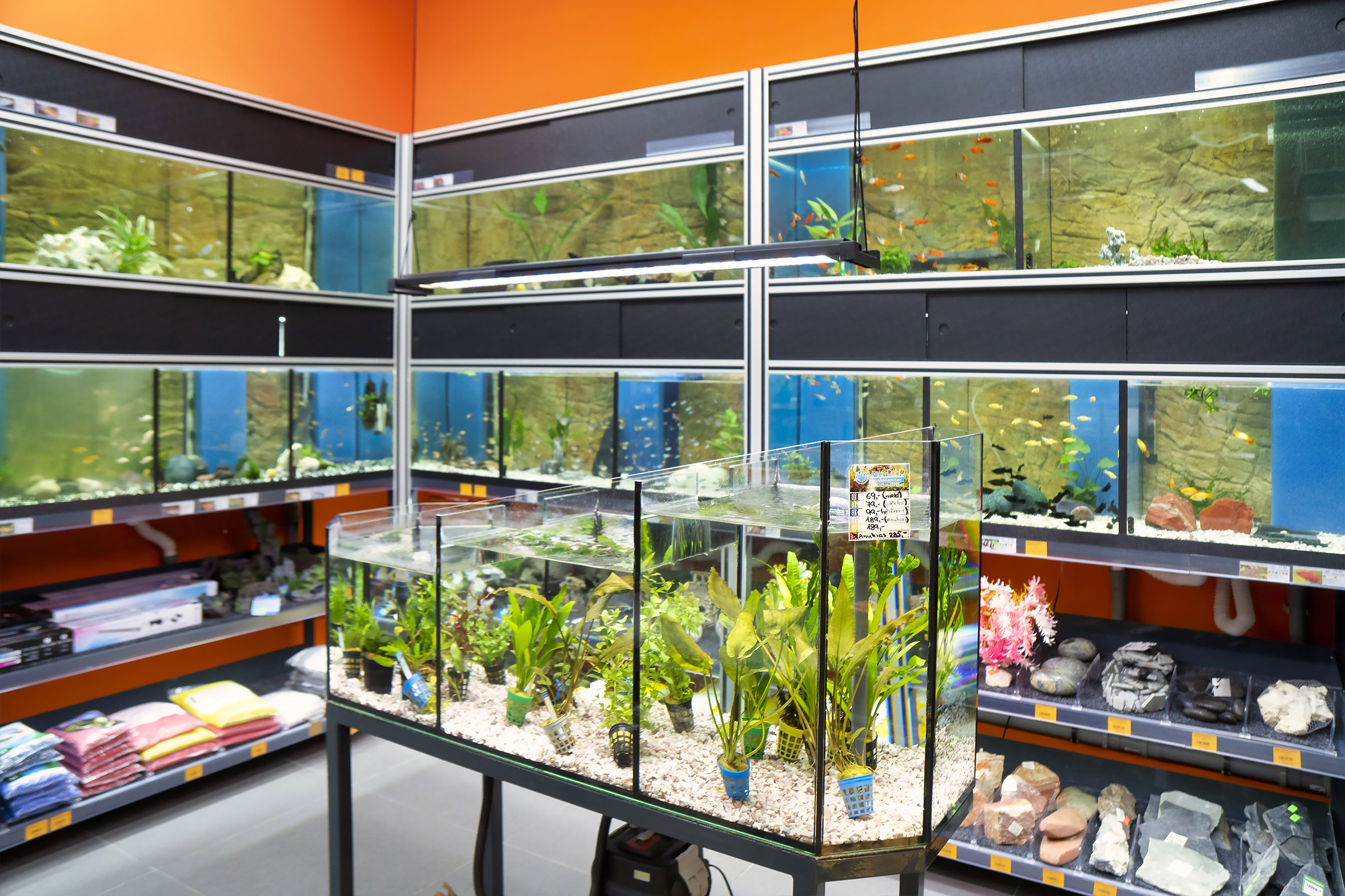 HappyZoo - OC Krakov foto 3