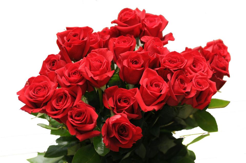 Prodej květin KAT Lamarche s.r.o. foto 3