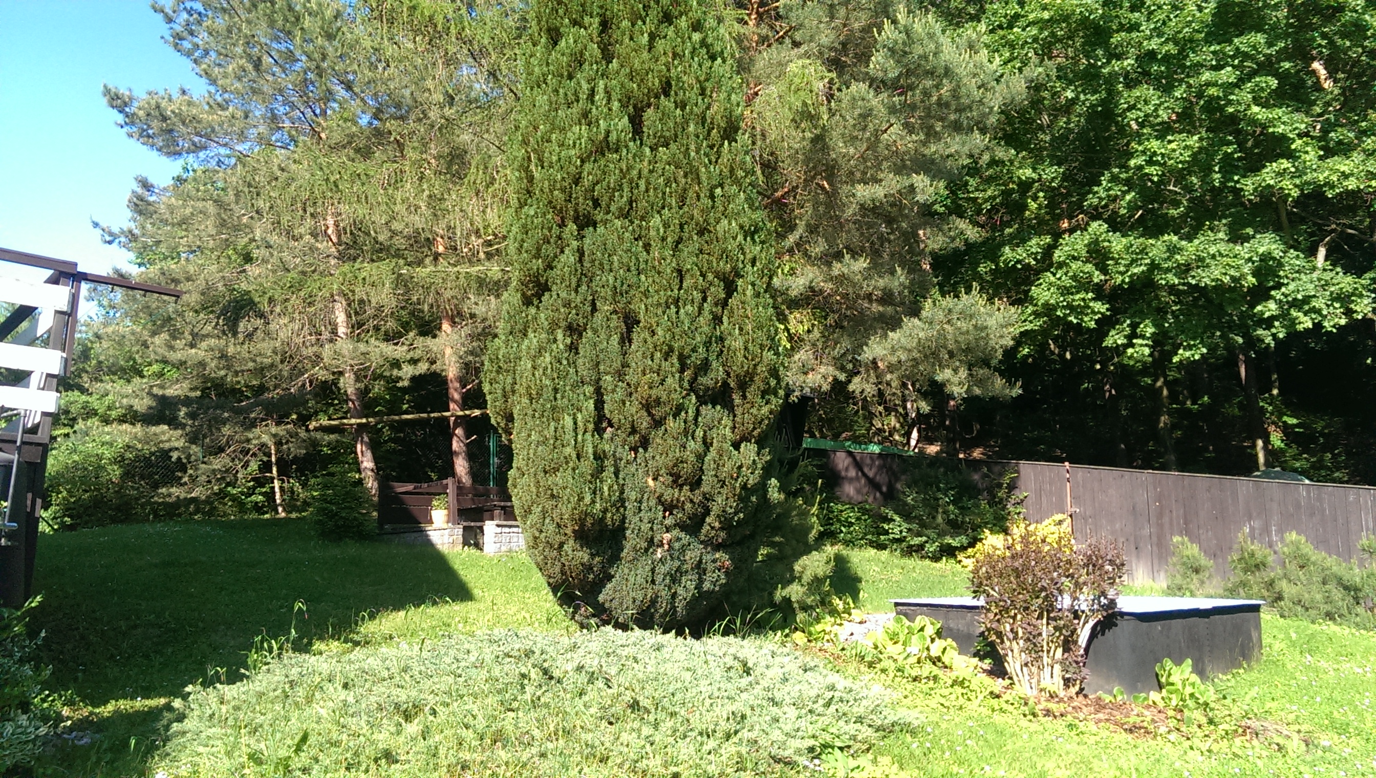 Jarmila Šafaříková foto 3