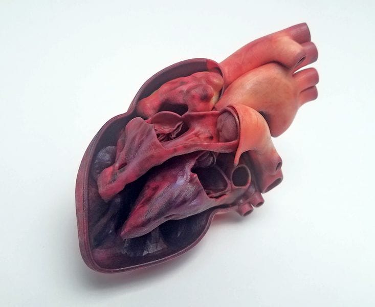Snass3D Design foto 3