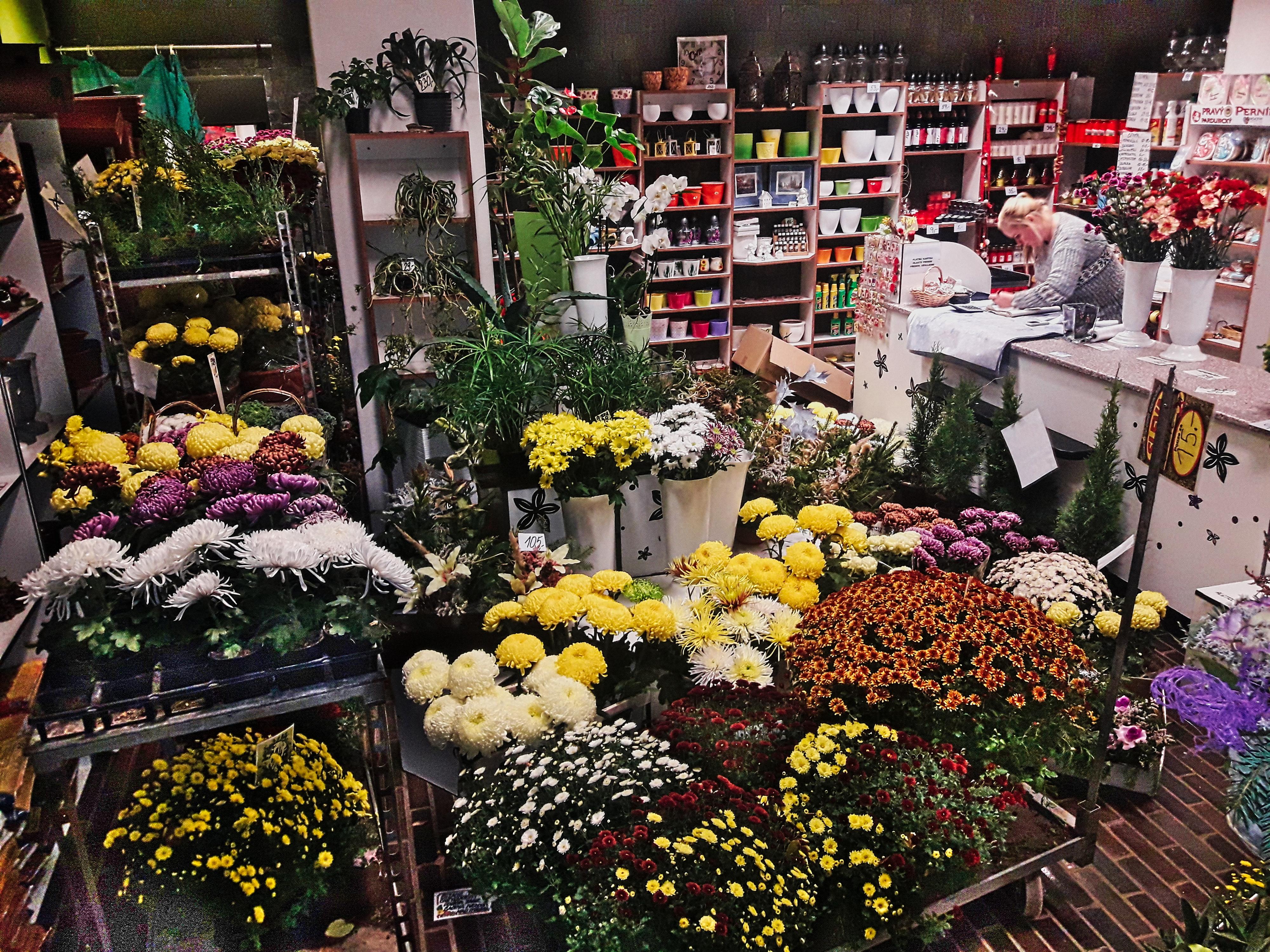 Květiny Sorela - Ing. Prášek foto 2