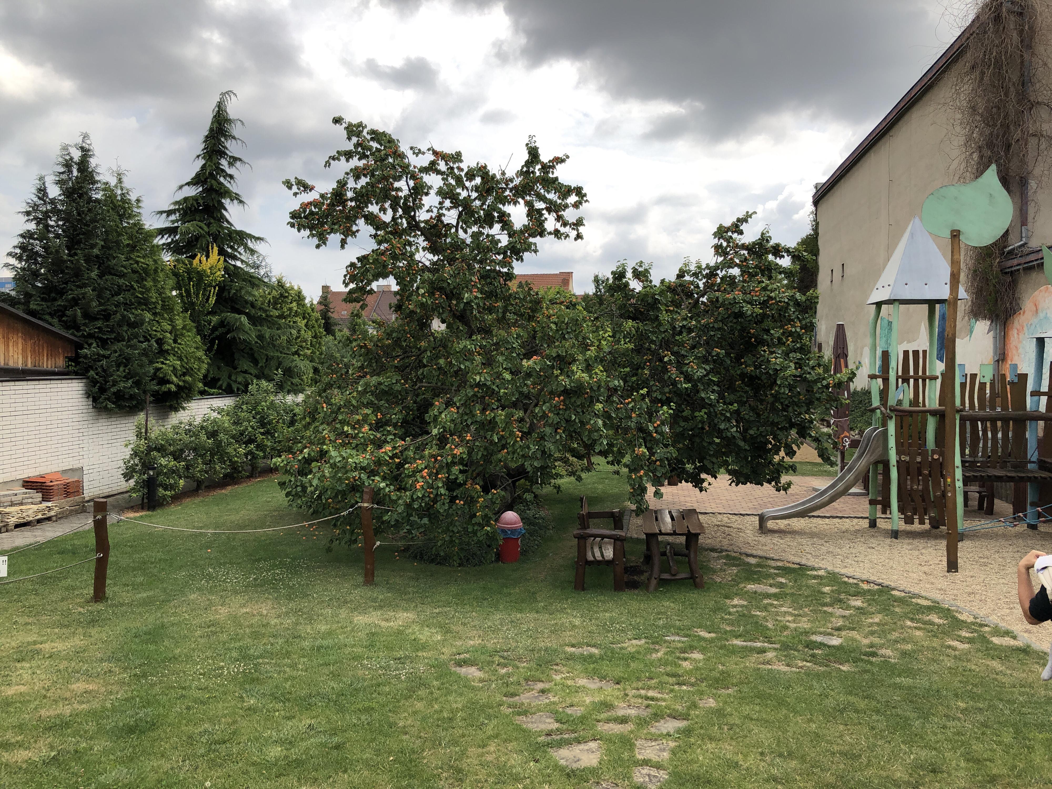 Zahrádka U Kulky foto 2