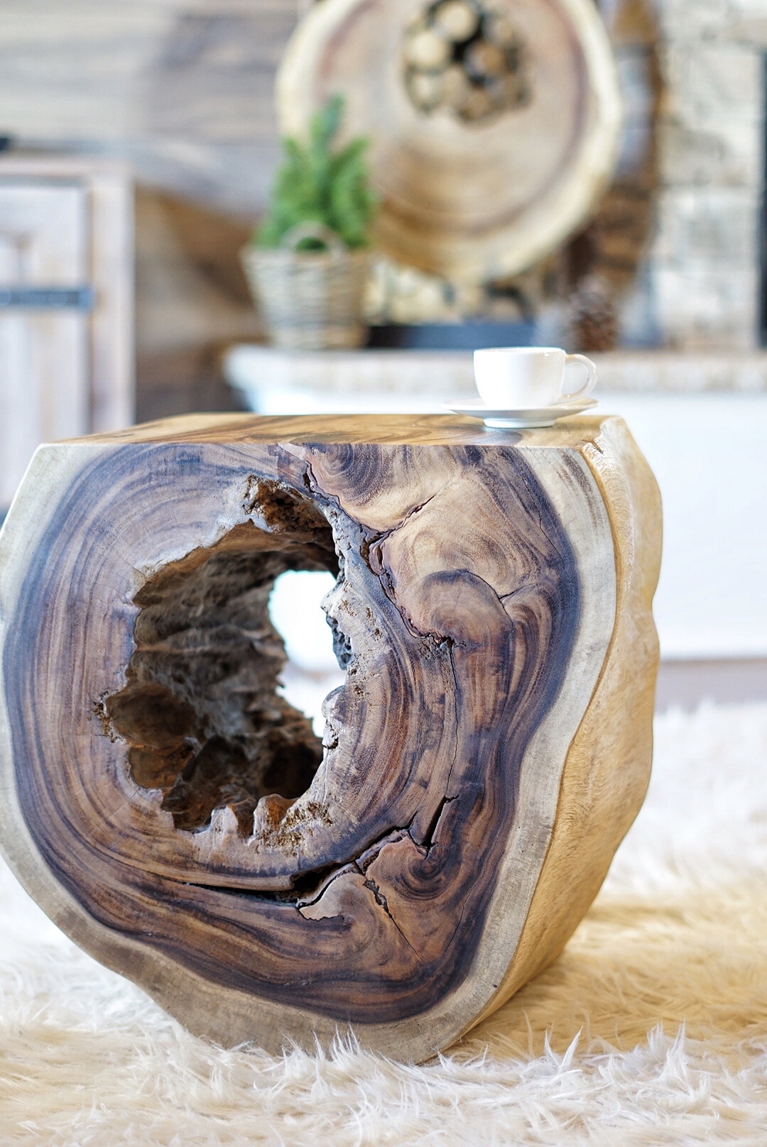 Treestudio.cz foto 2