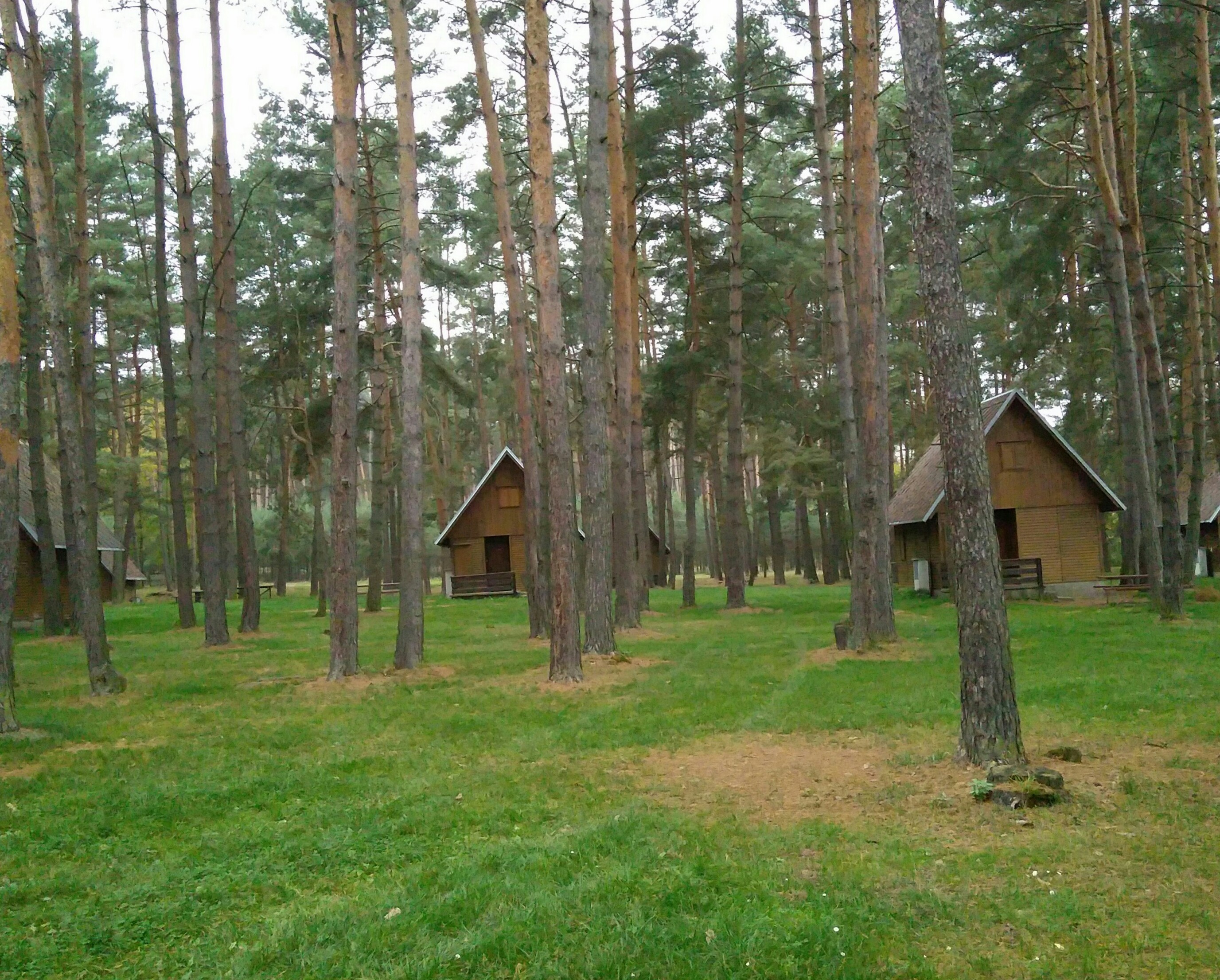 Občerstvení v rekreačním středisku Sycherák foto 5
