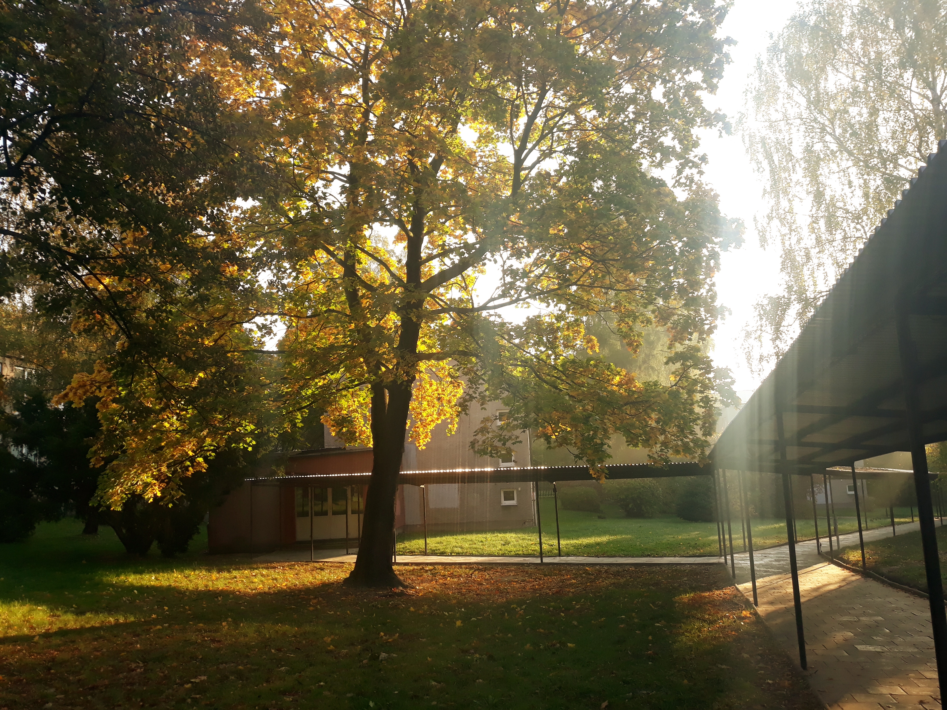 Základní škola Mládí, Orlová foto 6