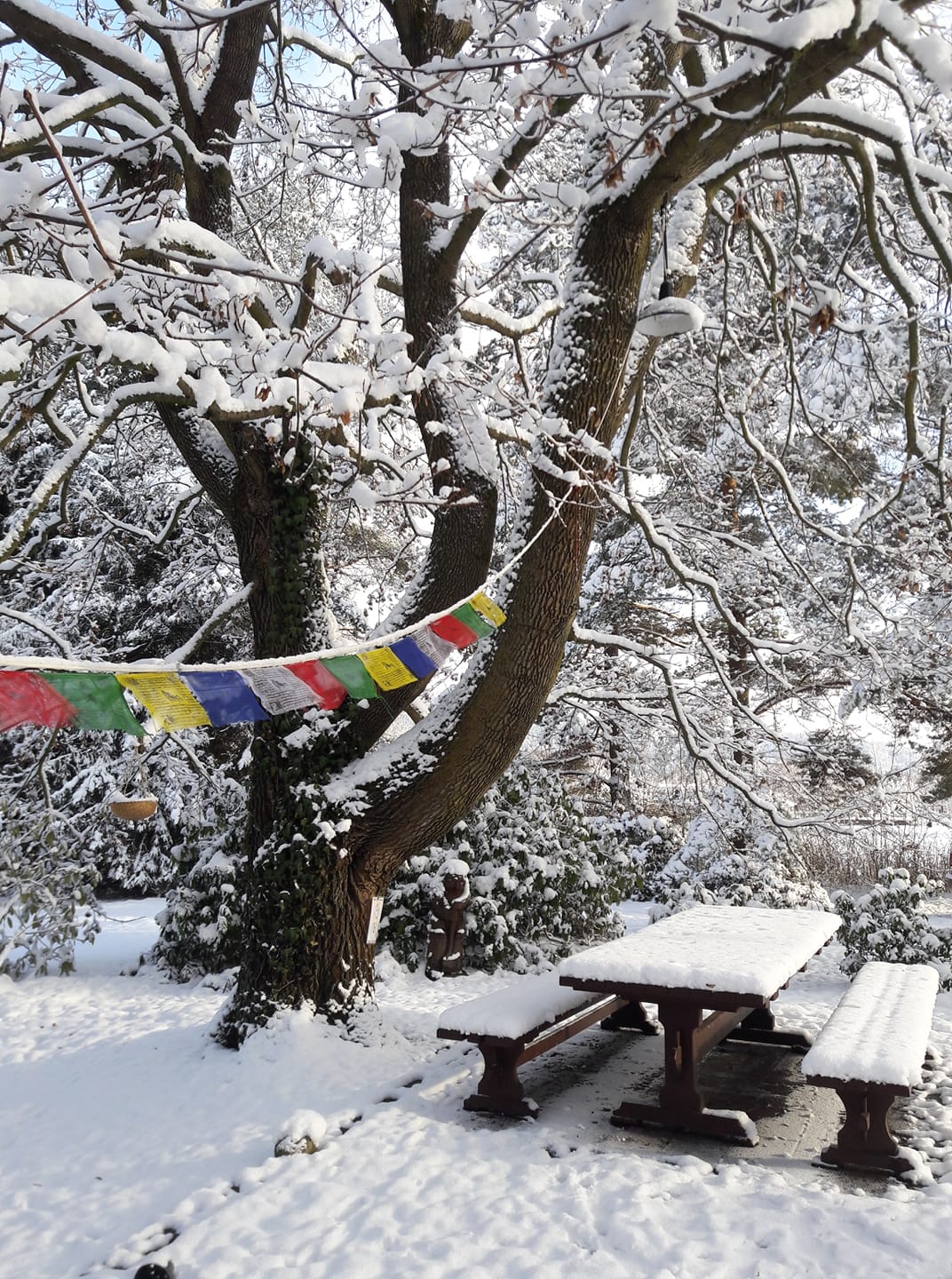 Adršpach U Meierů foto 3